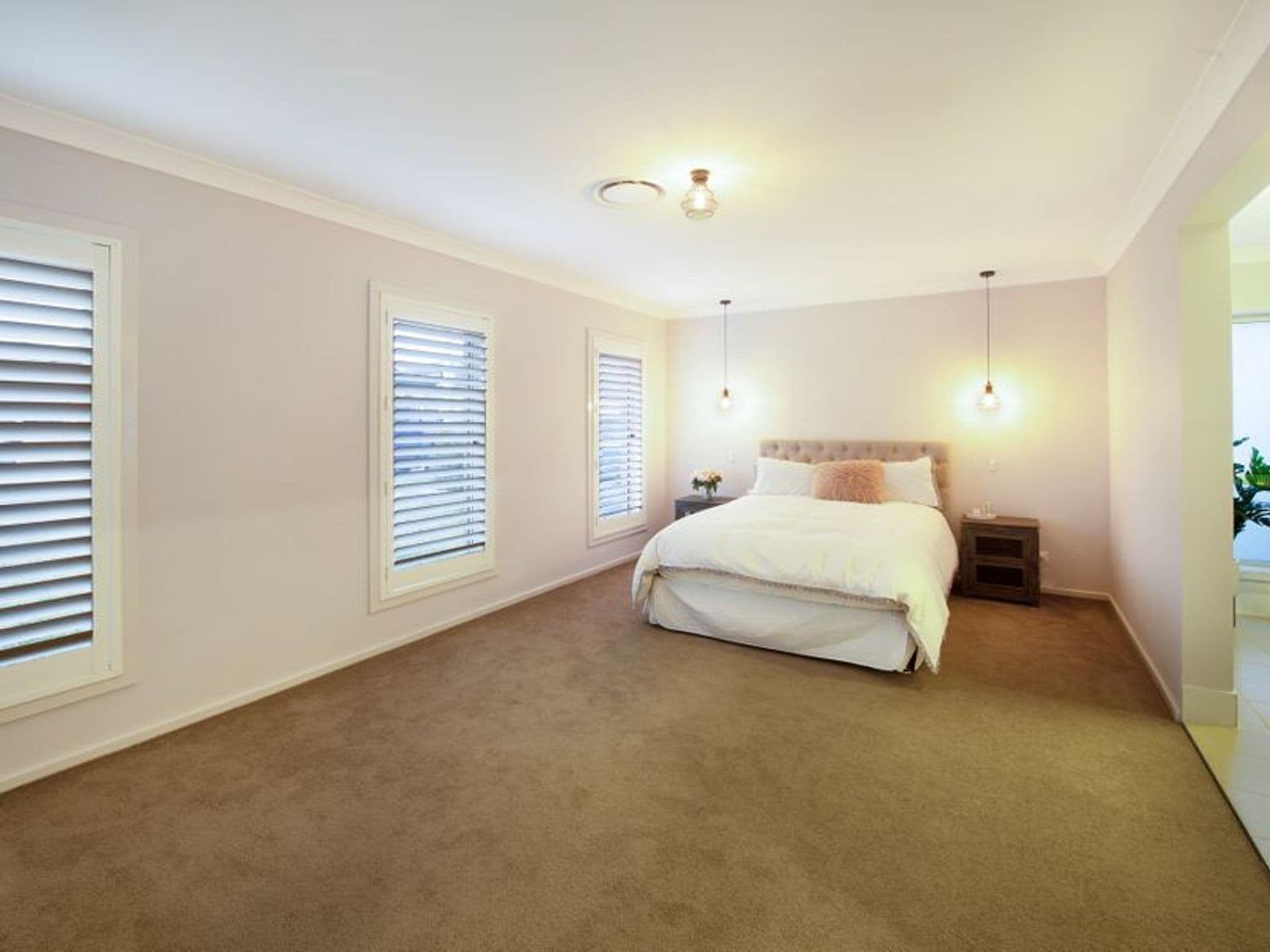 22 Dutton Street, Spring Farm, NSW, 2570, Spring Farm - Thumbnail 7