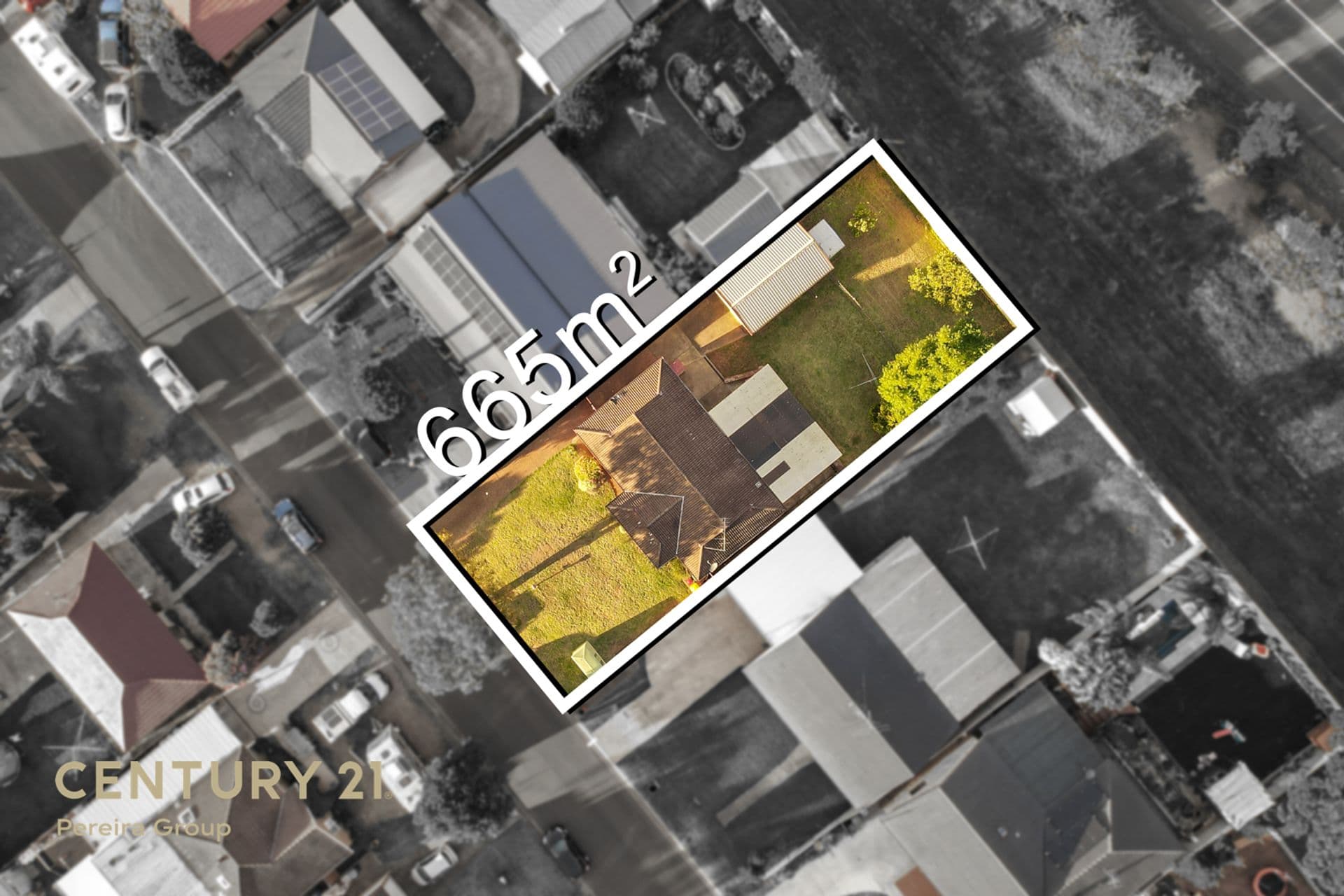 Shop 5B/342 Camden Valley Way, Narellan, NSW, 2567, Rosemeadow - Image 1
