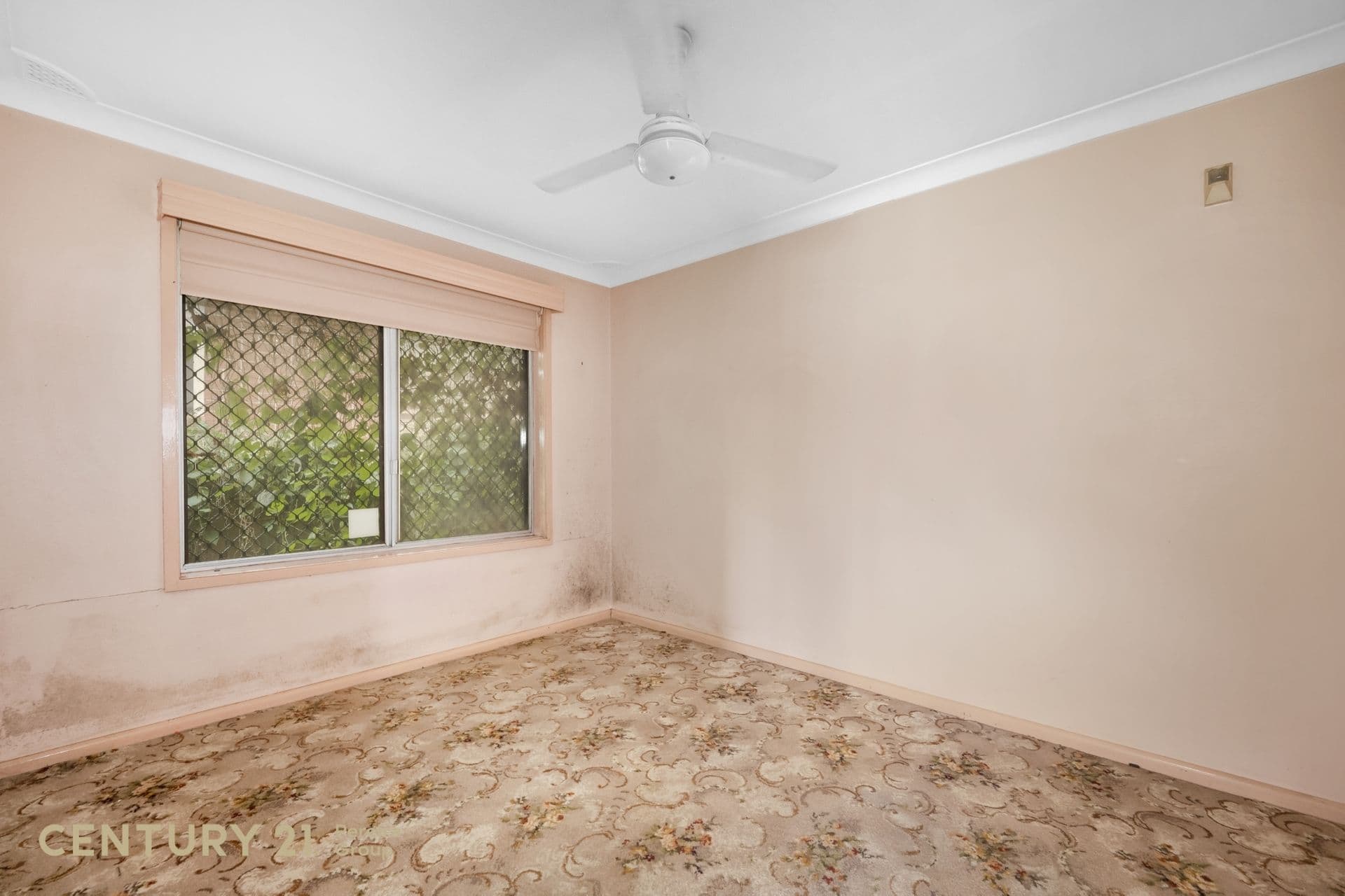 19 Forbes Place, Leumeah, NSW, 2560, Leumeah - Thumbnail 5