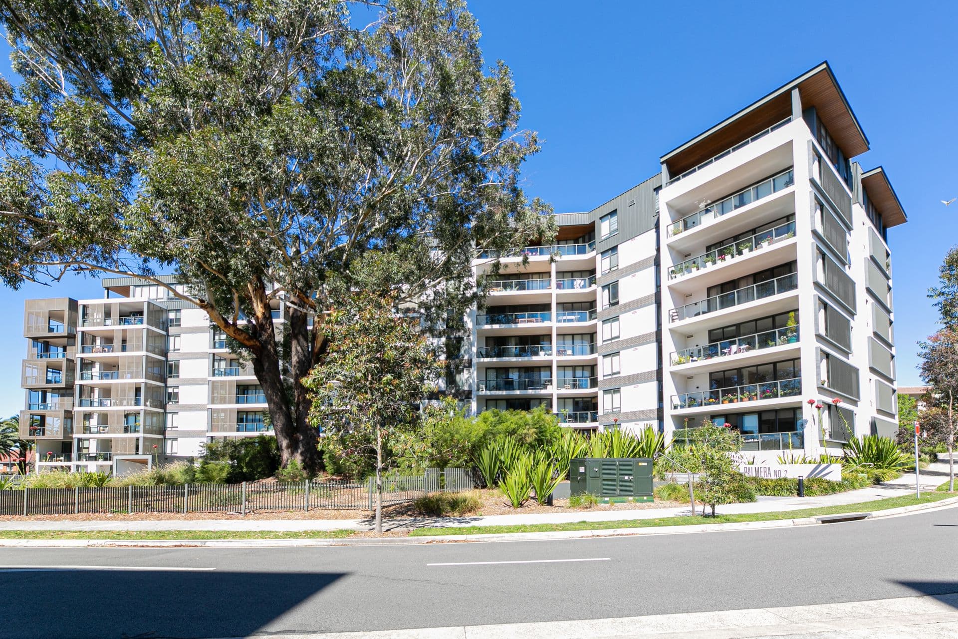 203S/2 Lardelli Drive, Ryde, NSW, 2112, Ryde - Image 1