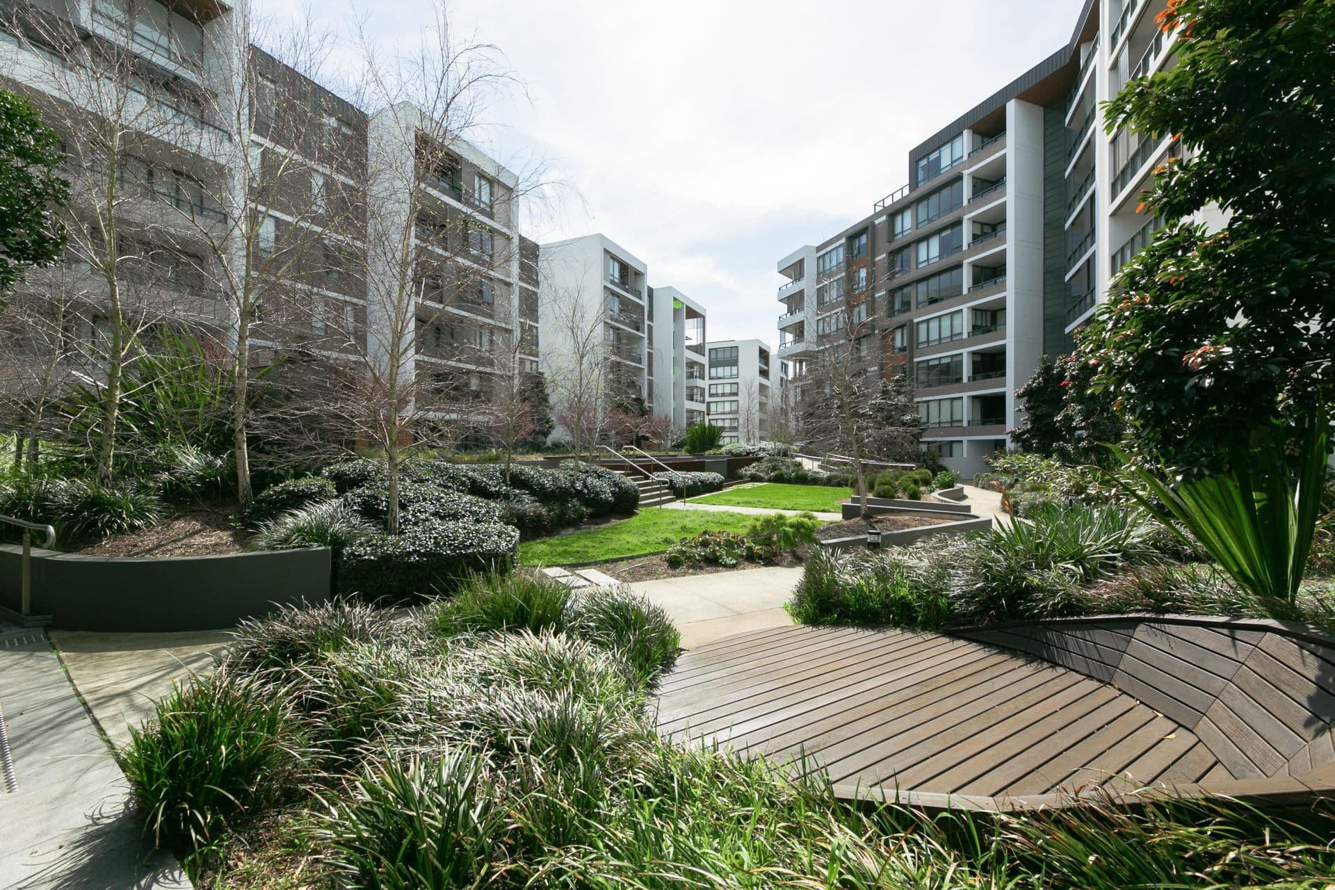 301N/5 Lardelli Drive, Ryde, NSW, 2112, Ryde - Thumbnail 7