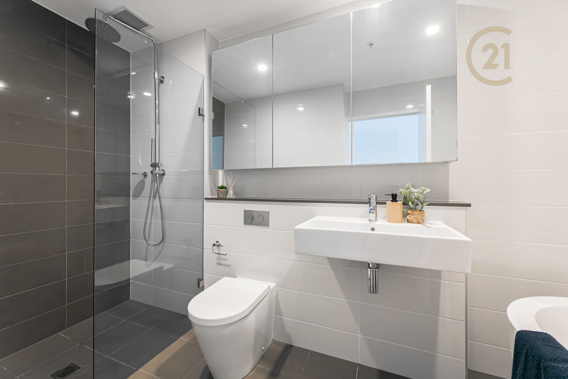 1005/15 Gadigal Avenue, Zetland, NSW, 2017, Zetland - Thumbnail 5