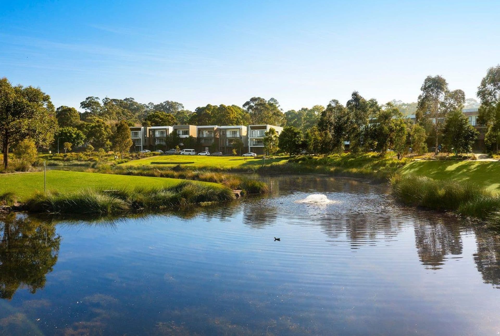 G01/1 Collingridge Drive, Ryde, NSW, 2112, Ryde - Thumbnail 6