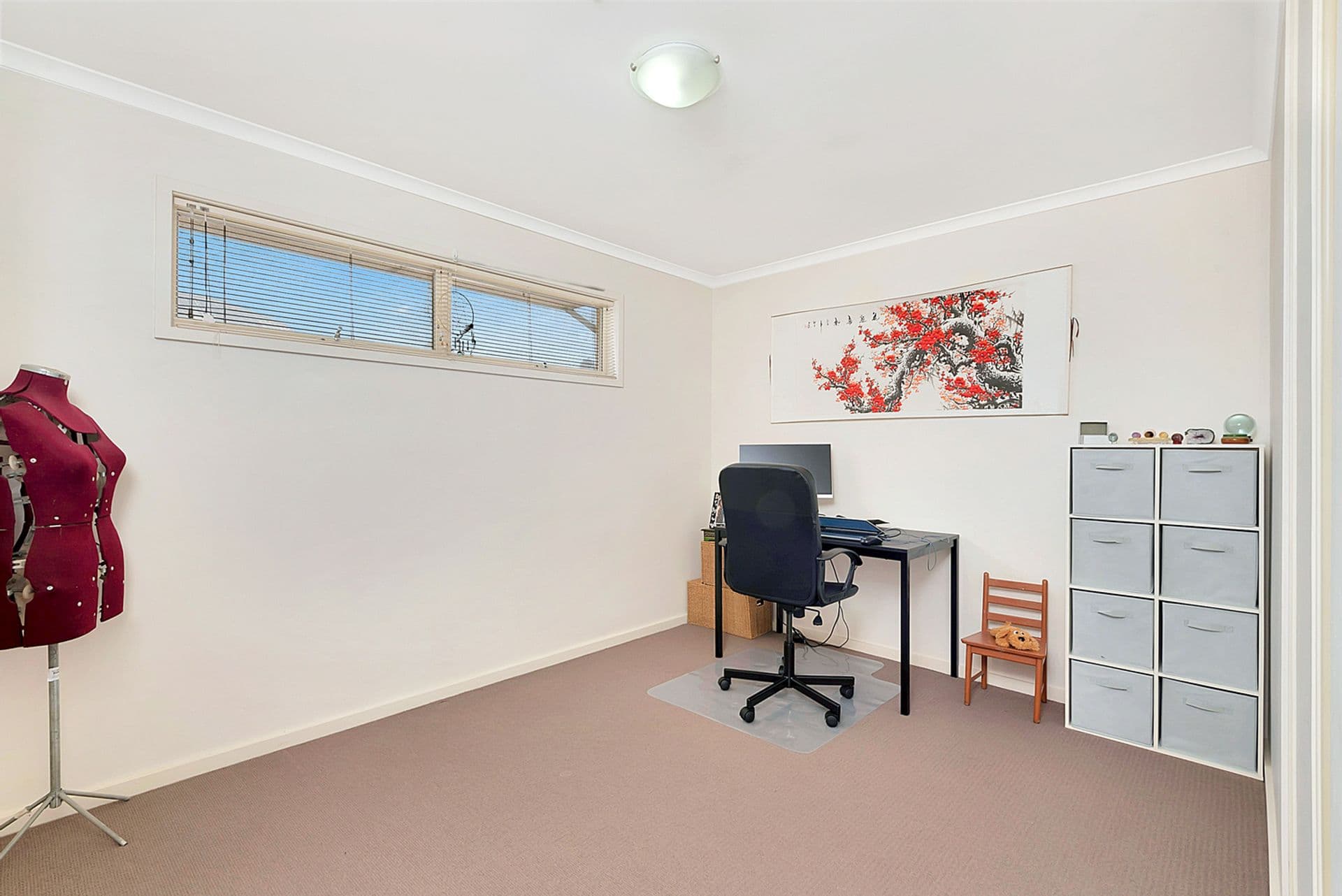 3 Waterbrook  Court, Mawson Lakes, SA, 5095, Mawson Lakes - Thumbnail 8