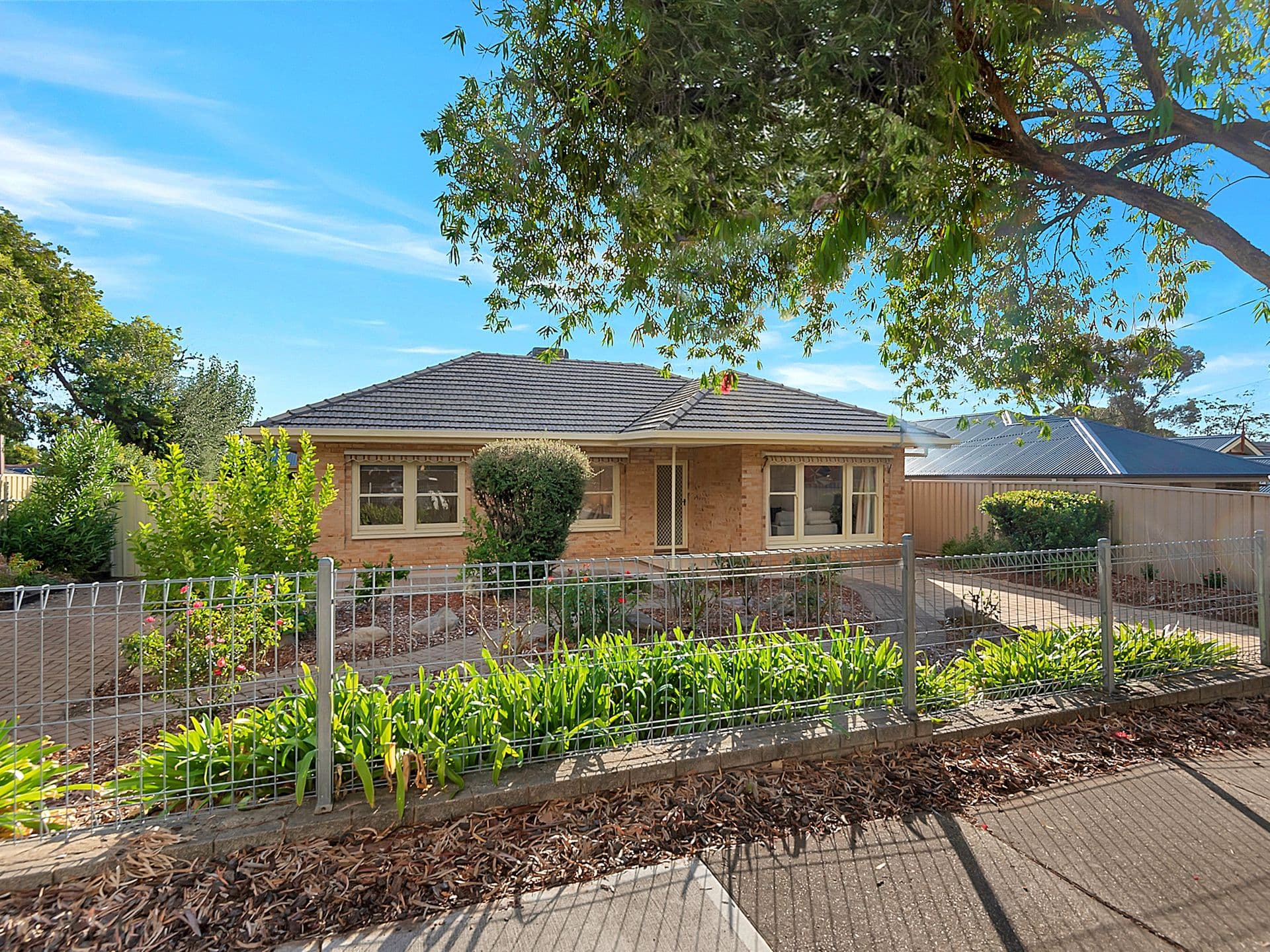 35 Shelley Street, Tea Tree Gully, SA, 5091, Tea Tree Gully - Image 1