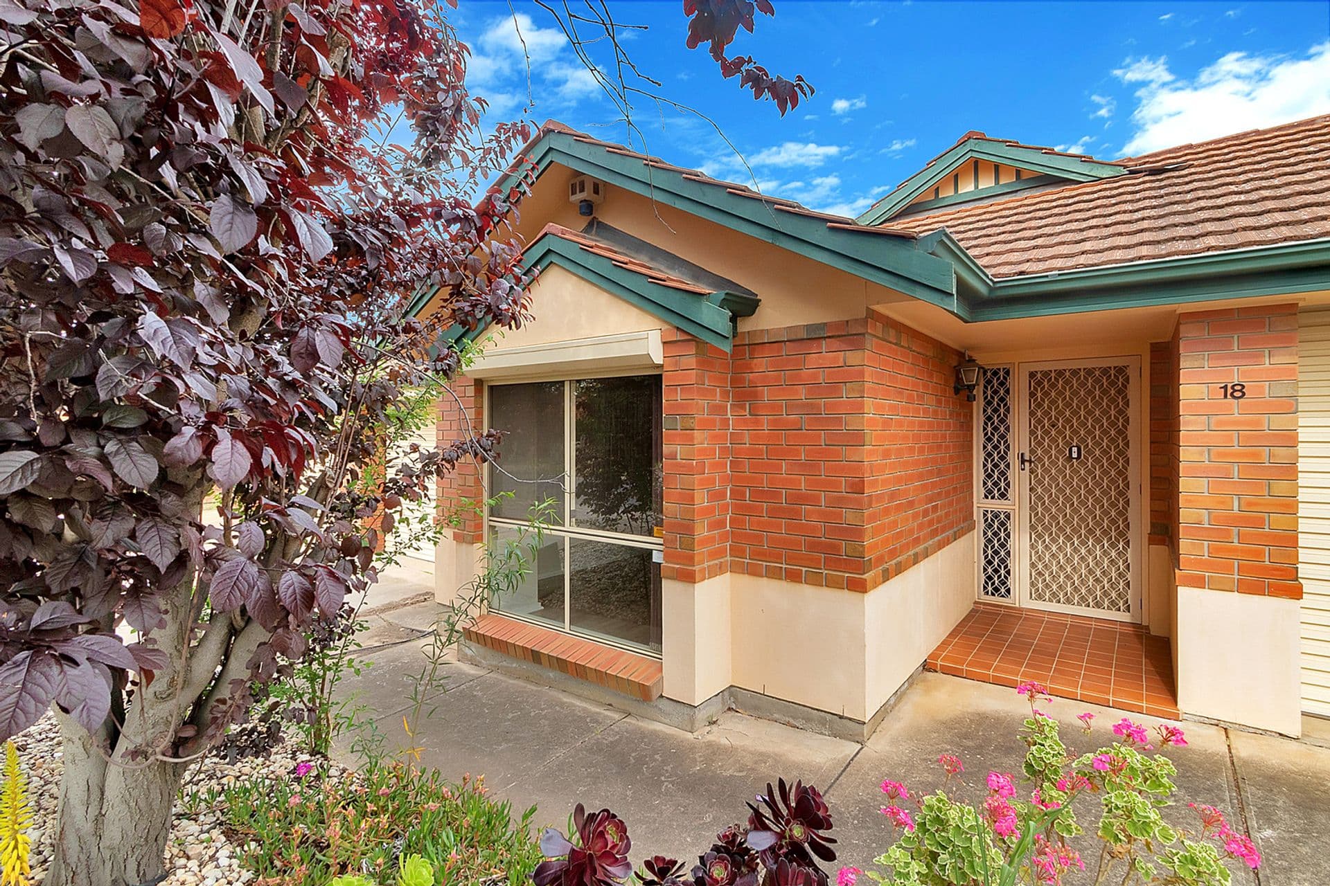 18 County Street, Hillcrest, SA, 5086, Hillcrest - Thumbnail 2