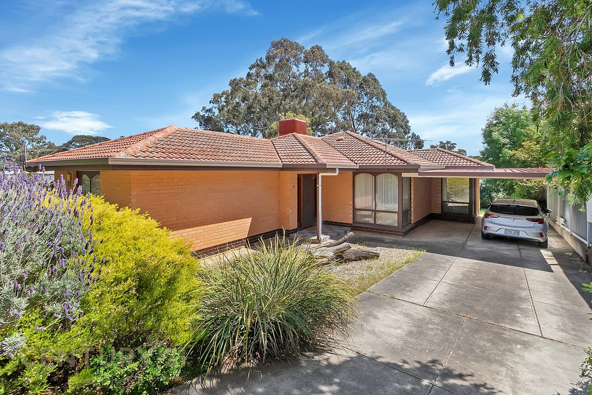 18 Vizard Road, Tea Tree Gully, SA, 5091, Tea Tree Gully - Thumbnail 3