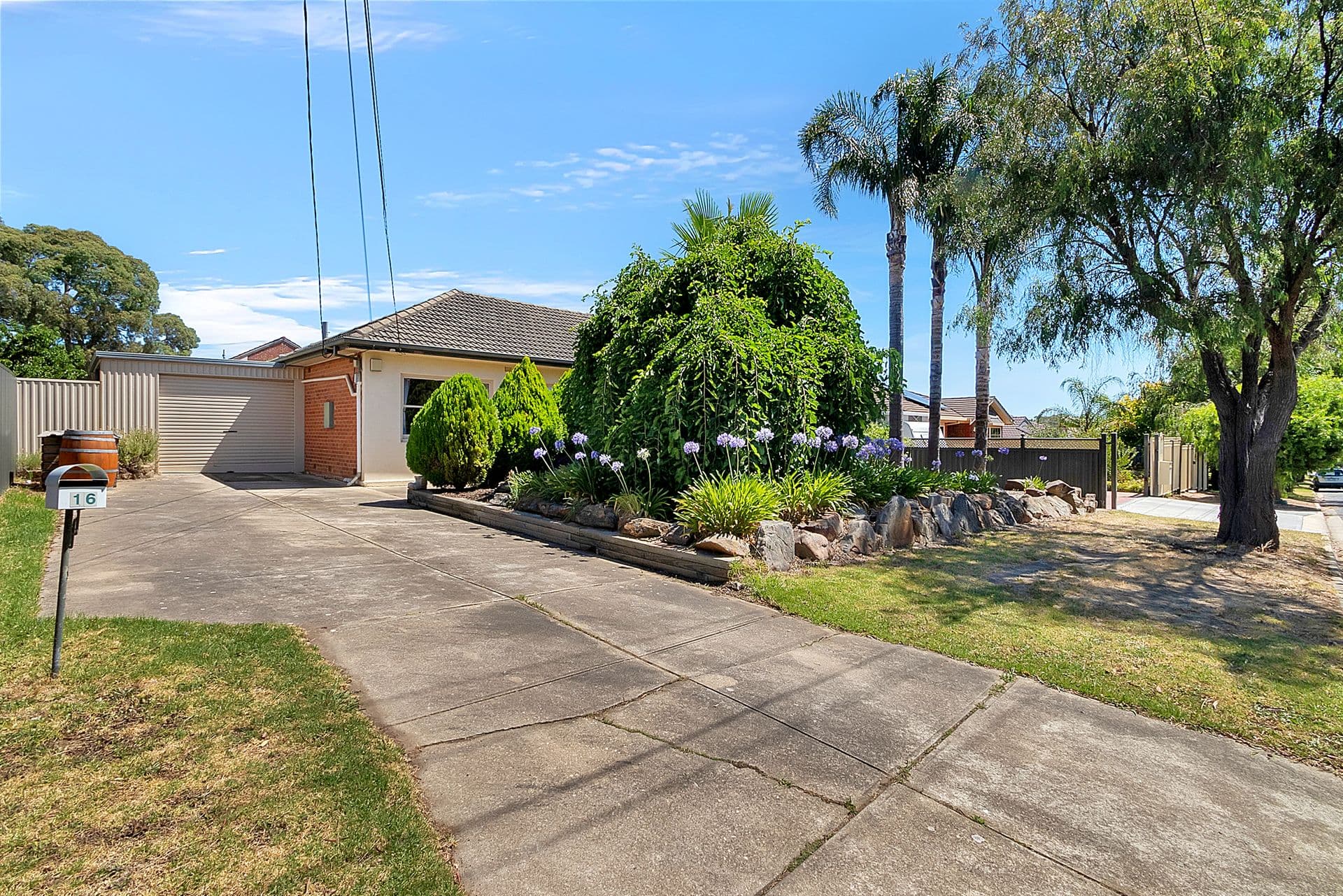 16 Claire Street, Ridgehaven, SA, 5097, Ridgehaven - Thumbnail 4