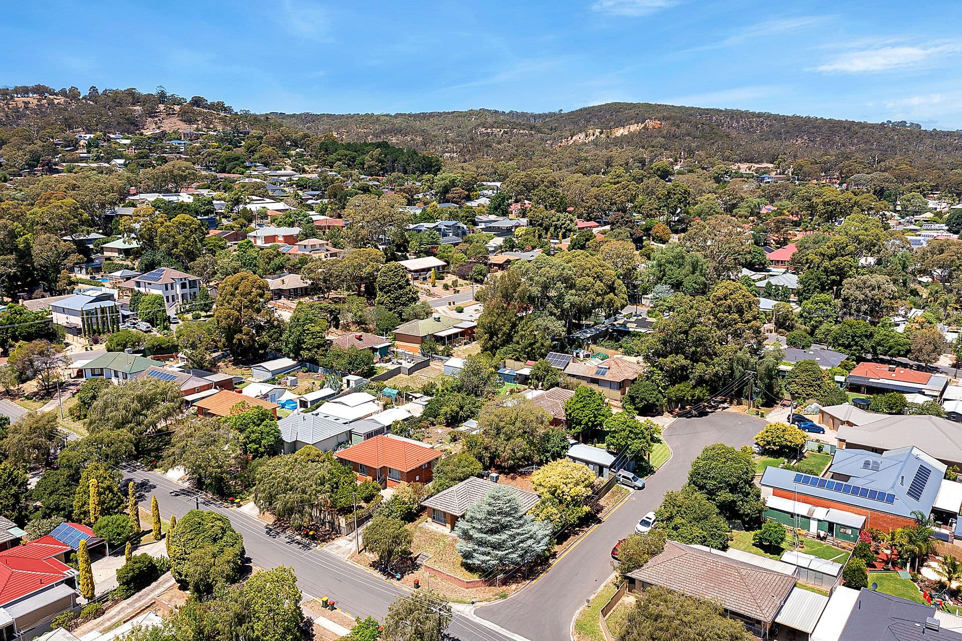 11 Vizard Road, Tea Tree Gully, SA, 5091, Tea Tree Gully - Thumbnail 2