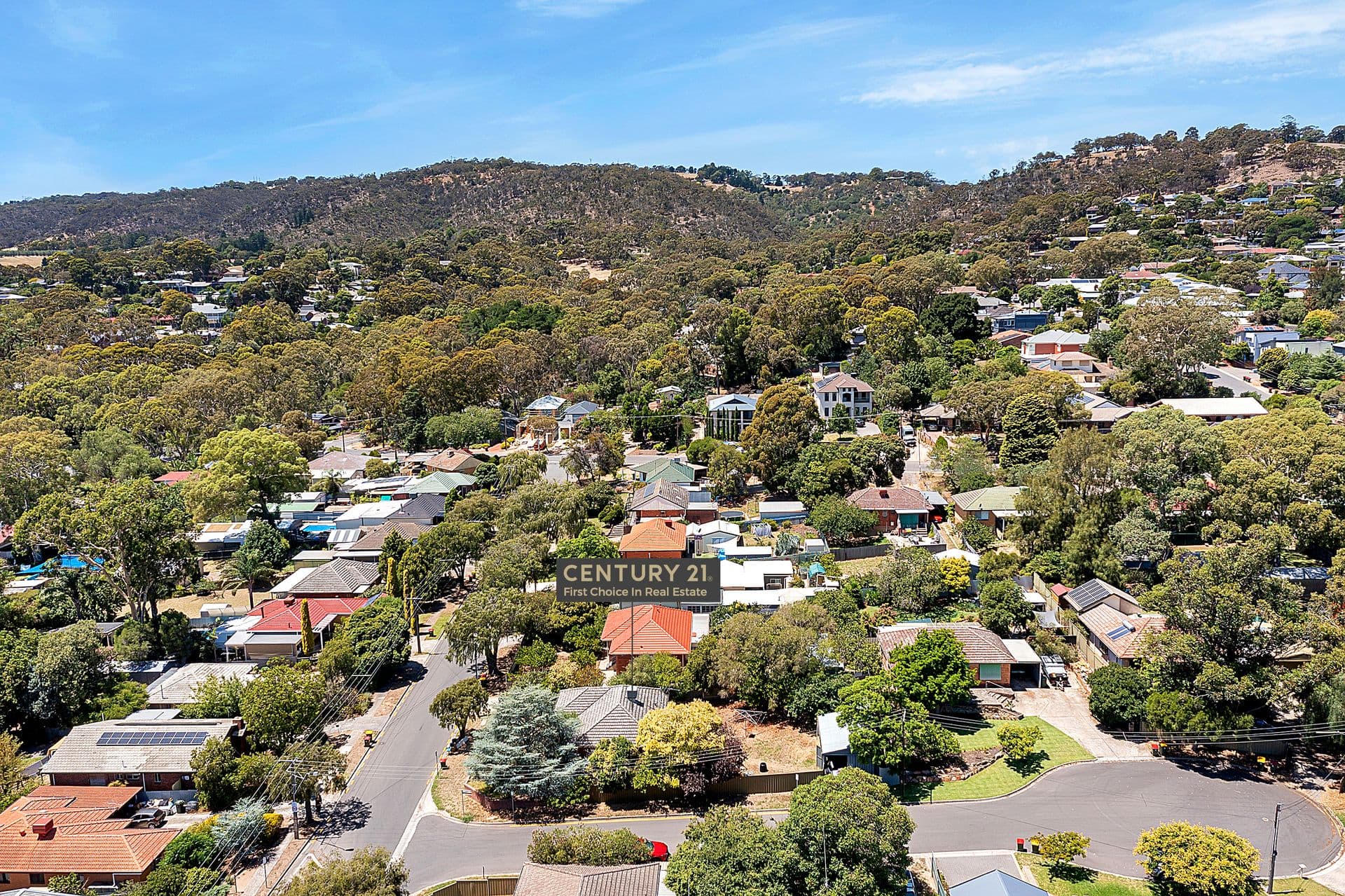 11 Vizard Road, Tea Tree Gully, SA, 5091, Tea Tree Gully - Thumbnail 3