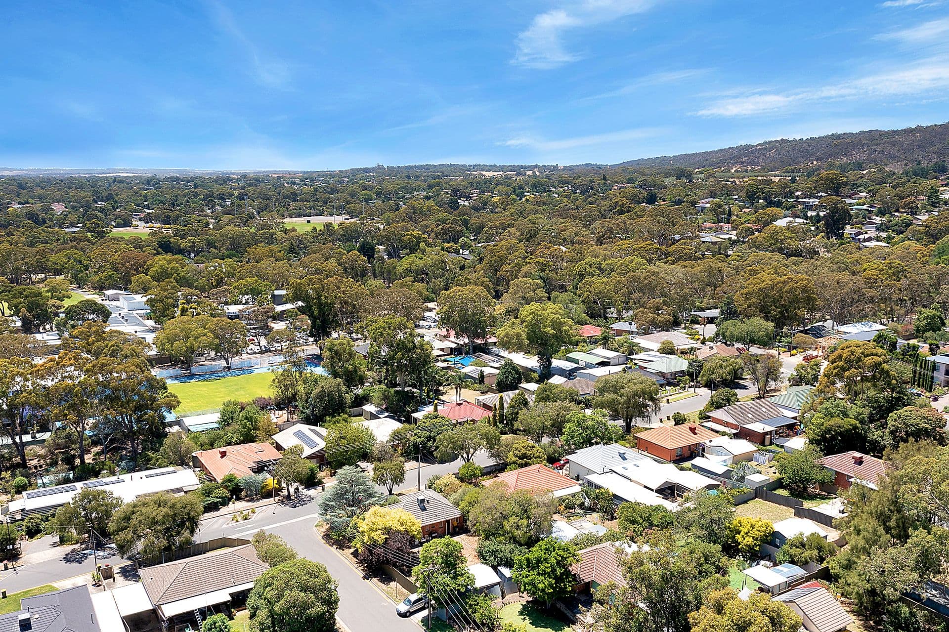 11 Vizard Road, Tea Tree Gully, SA, 5091, Tea Tree Gully - Thumbnail 6