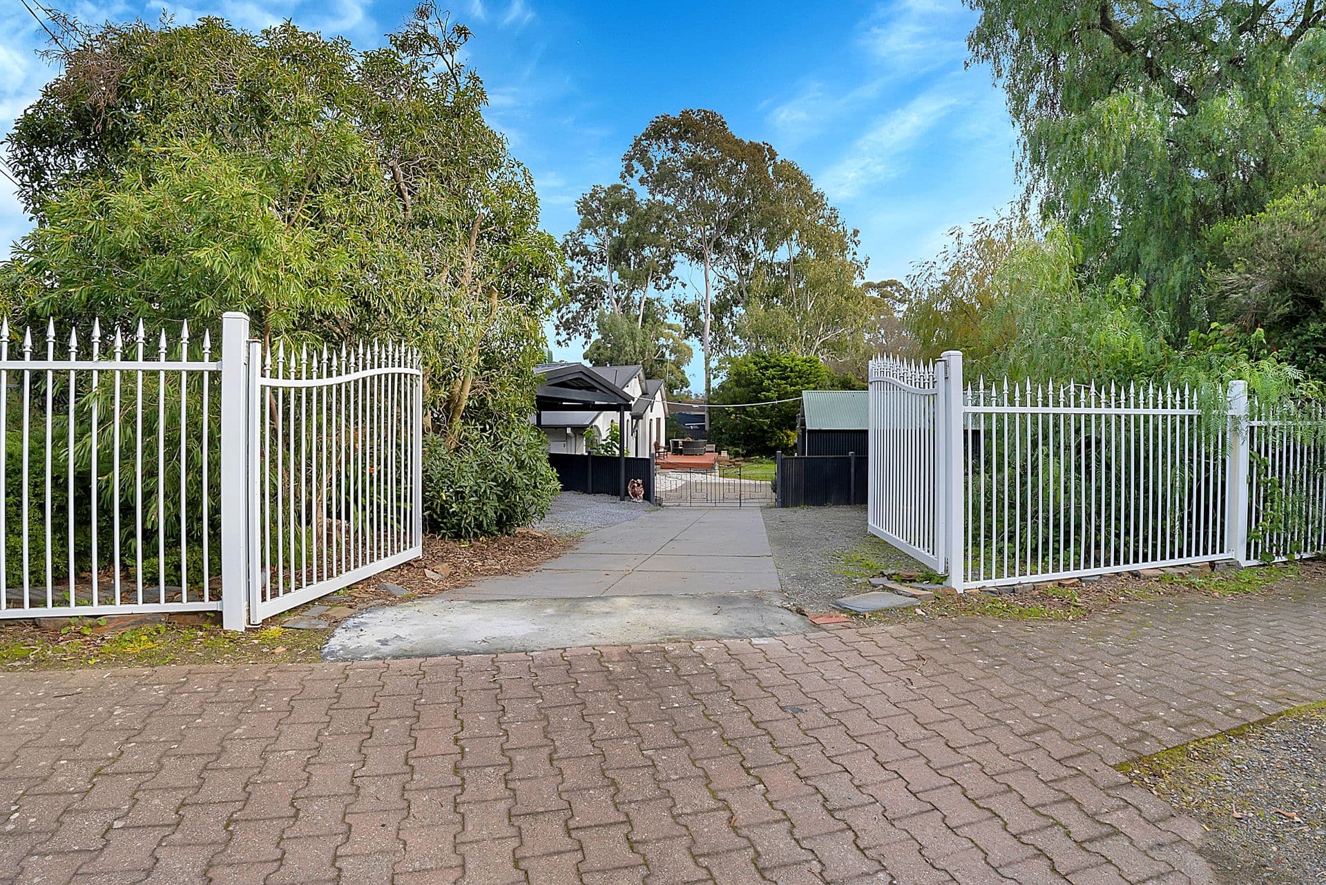19 Elizabeth Street, Tea Tree Gully, SA, 5091, Tea Tree Gully - Thumbnail 8