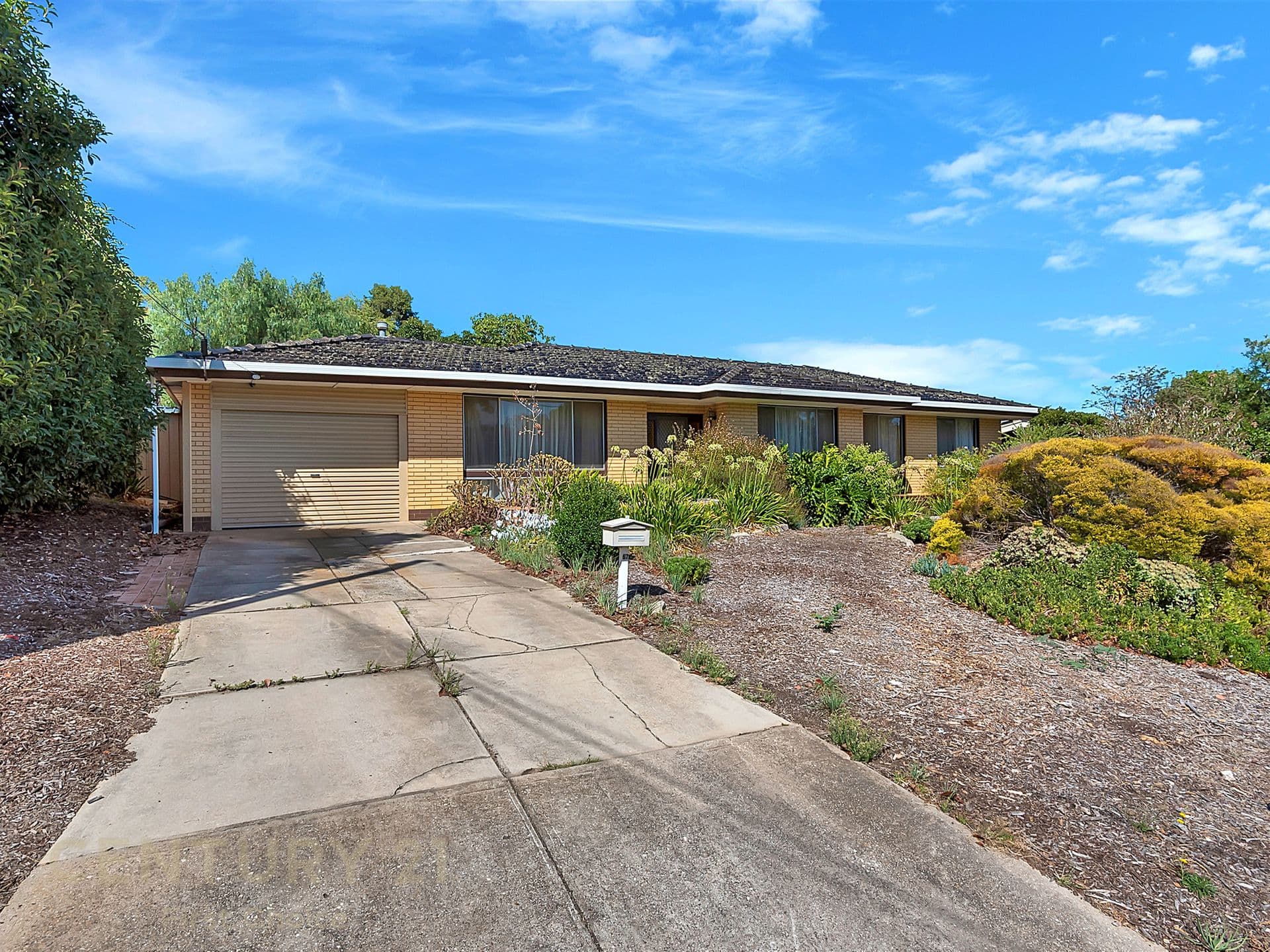 67 Waitara Road, Banksia Park, SA, 5091, Banksia Park - Thumbnail 3