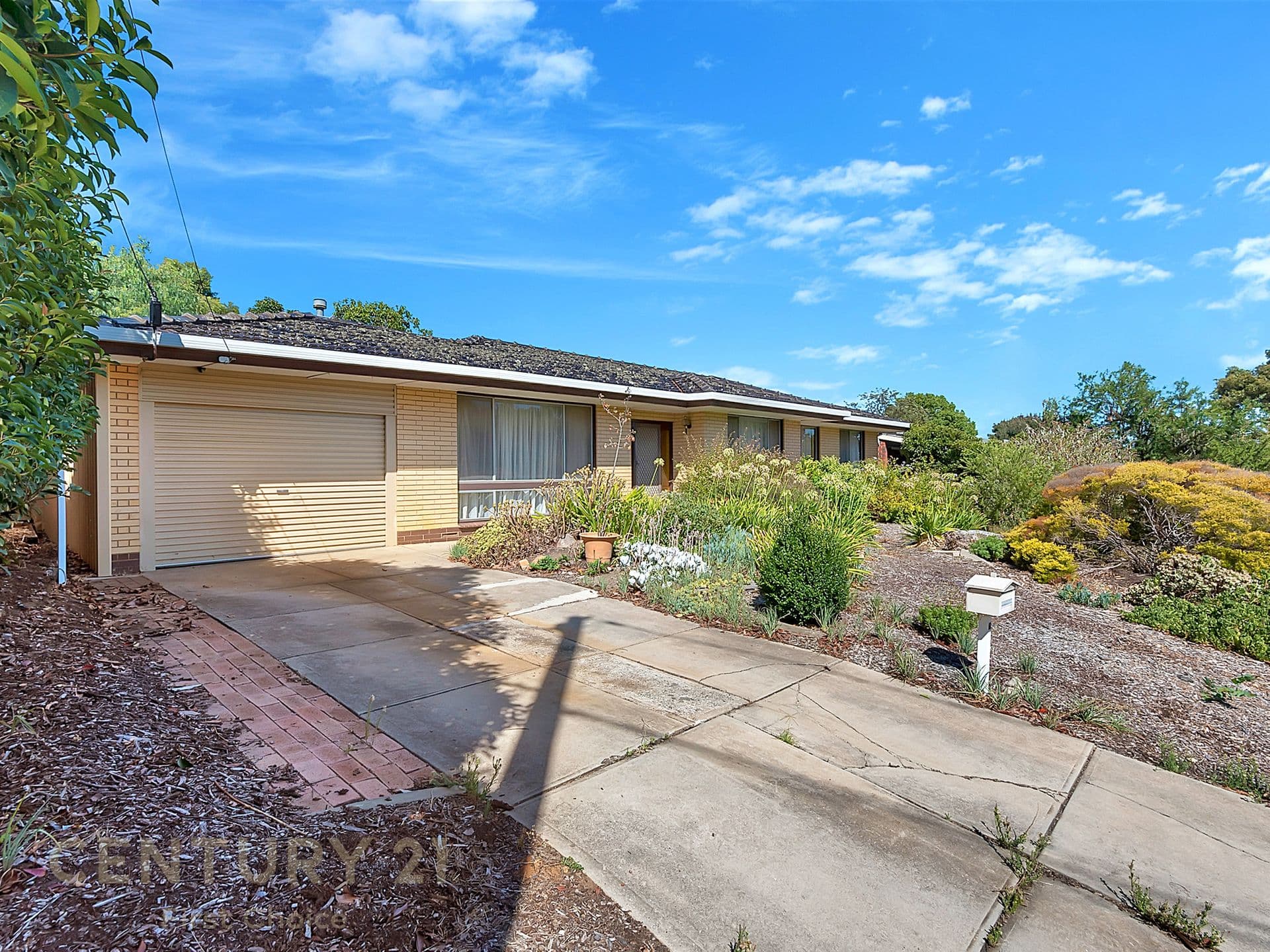 67 Waitara Road, Banksia Park, SA, 5091, Banksia Park - Thumbnail 2