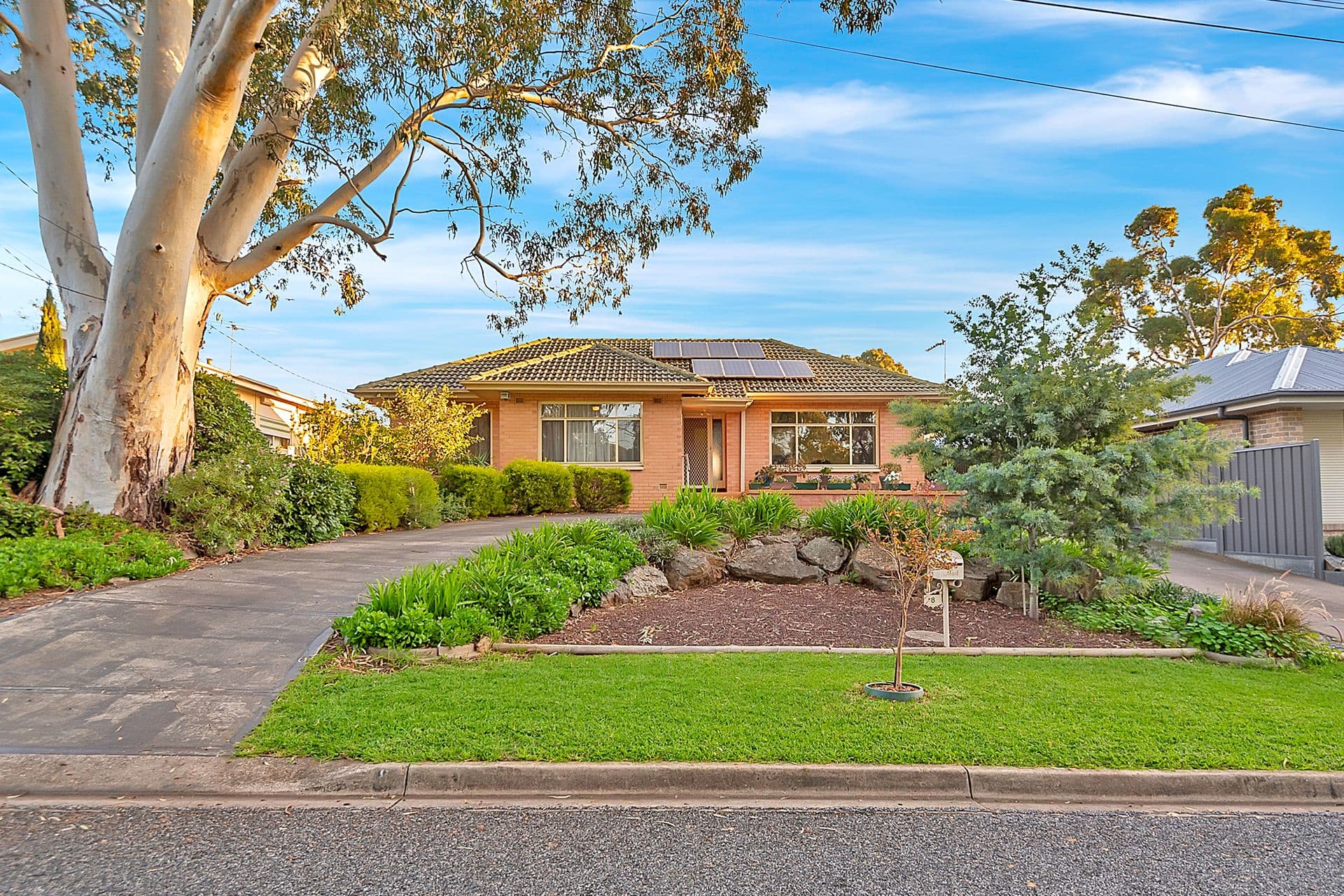8 Newman Avenue, Tea Tree Gully, SA, 5091, Tea Tree Gully - Thumbnail 2