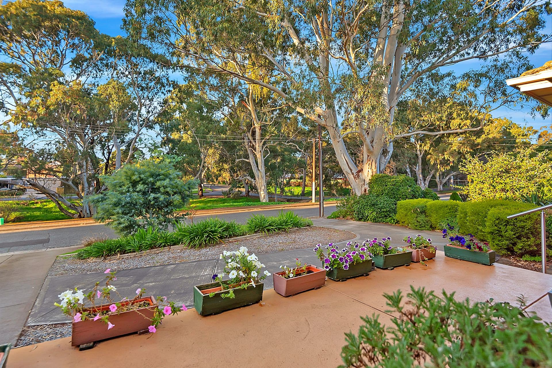 8 Newman Avenue, Tea Tree Gully, SA, 5091, Tea Tree Gully - Thumbnail 3