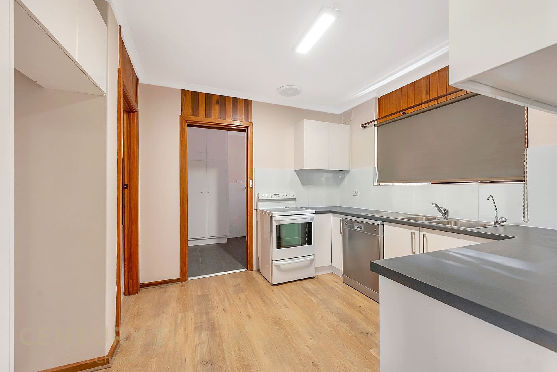 3 Castle Street, Athelstone, SA, 5076, Athelstone - Thumbnail 4