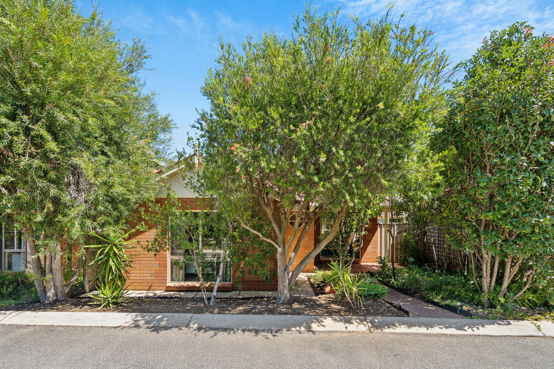3/5 Mann Court, Magill, SA, 5072, Magill - Image 1