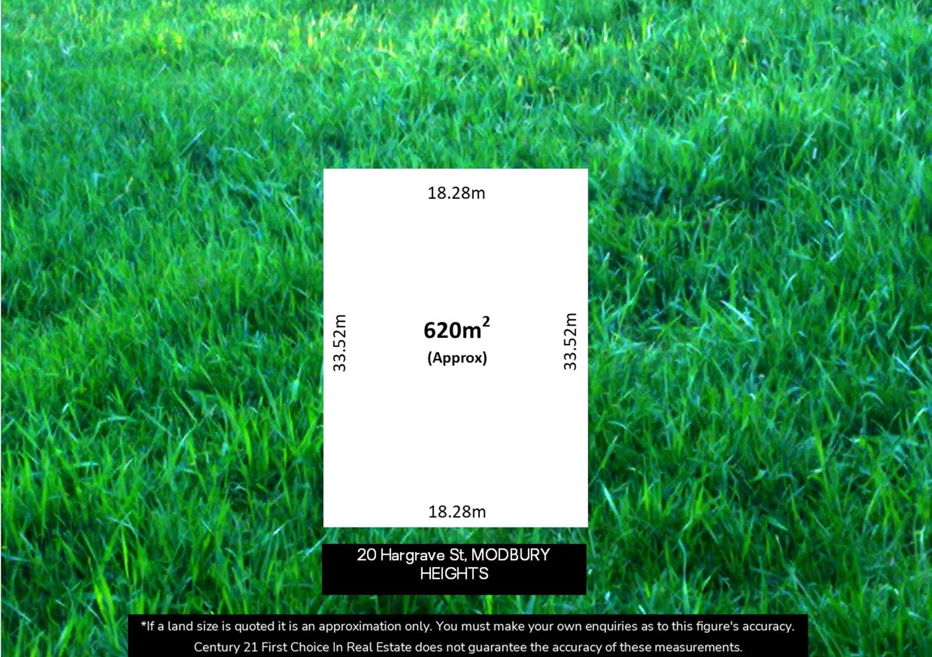 20 Hargrave Street, Modbury Heights, SA, 5092, Modbury Heights - Thumbnail 6
