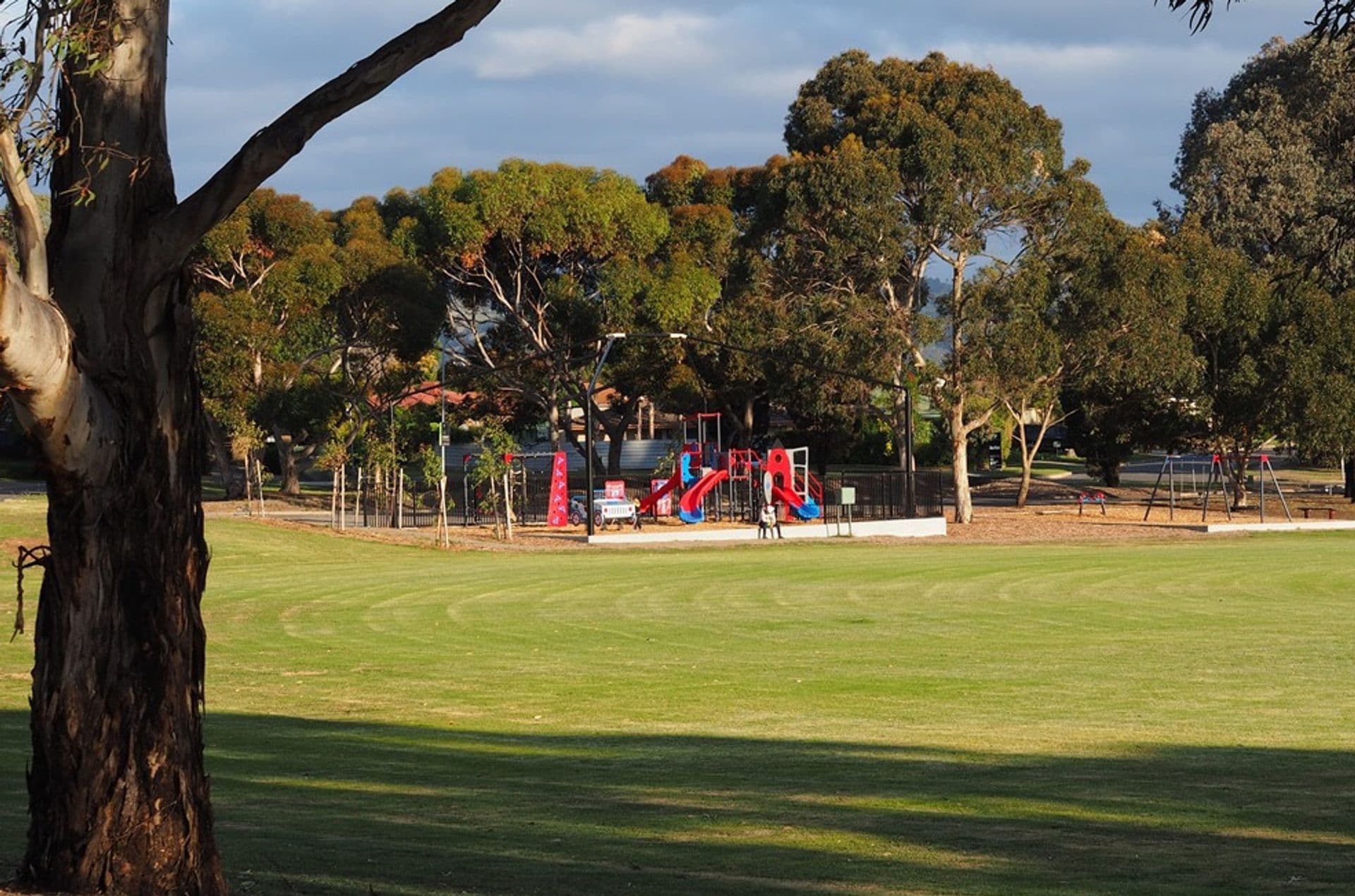 20 Hargrave Street, Modbury Heights, SA, 5092, Modbury Heights - Thumbnail 3
