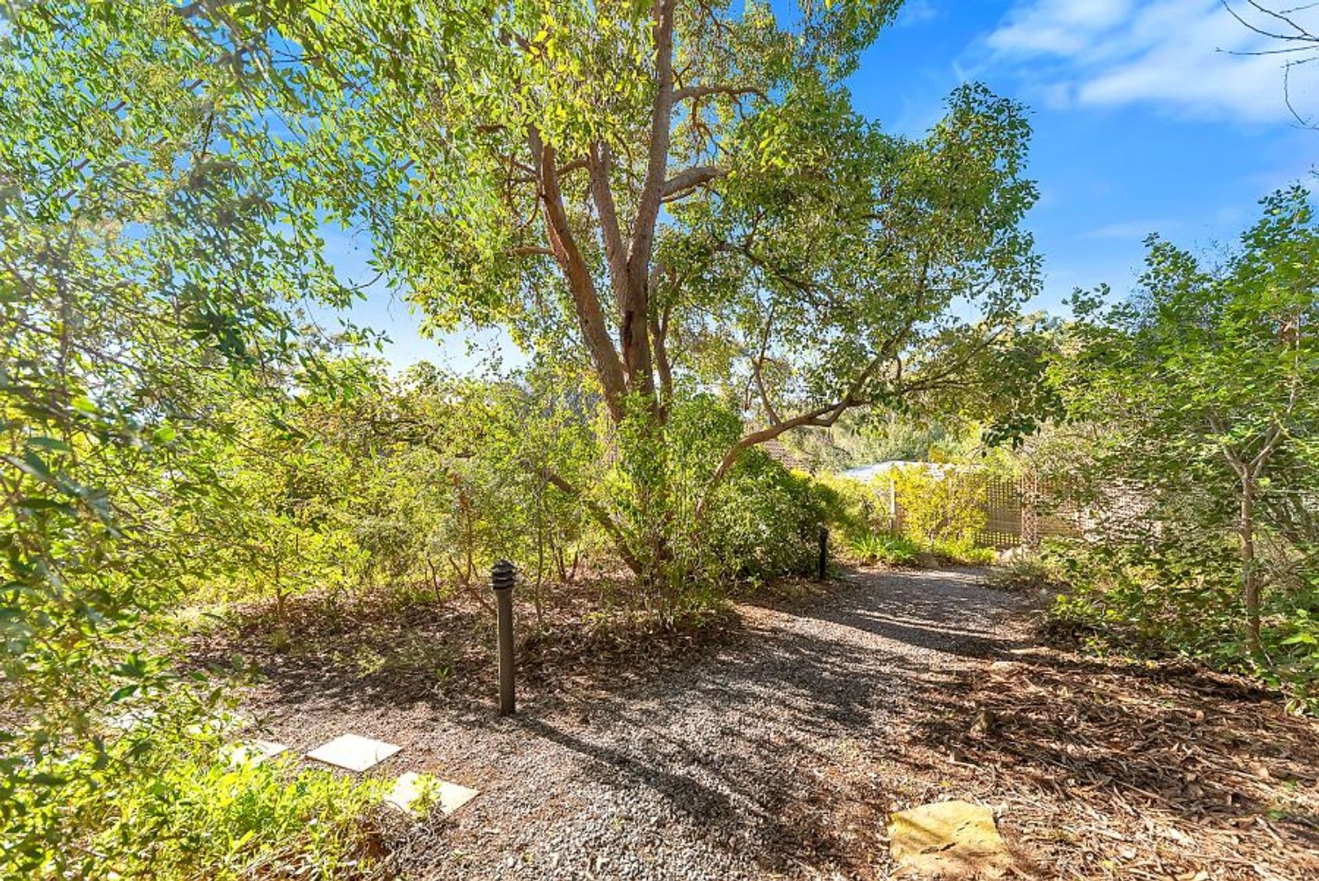 639 A Milne Rd, Tea Tree Gully, SA, 5091, Tea Tree Gully - Thumbnail 3