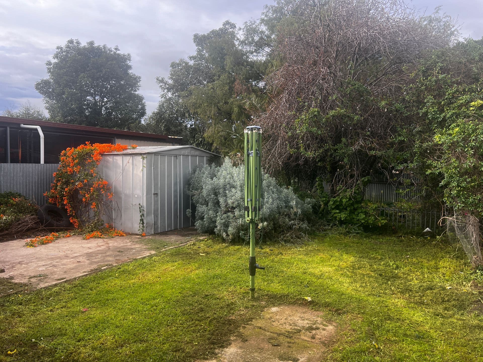 7 Keats Street, Tea Tree Gully, SA, 5091, Tea Tree Gully - Thumbnail 7