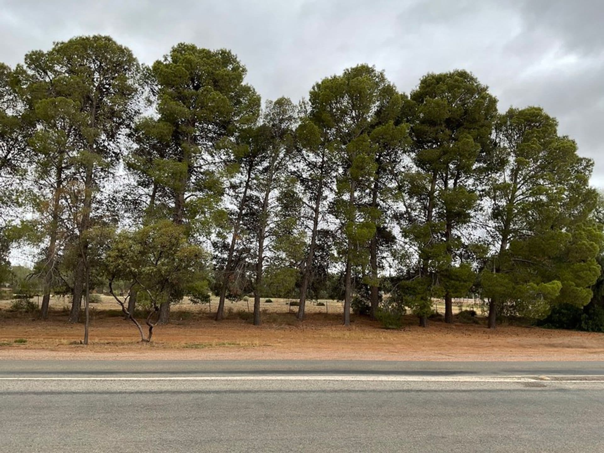 14 Darbon Terrace, Crystal Brook, SA, 5523, Crystal Brook - Thumbnail 2