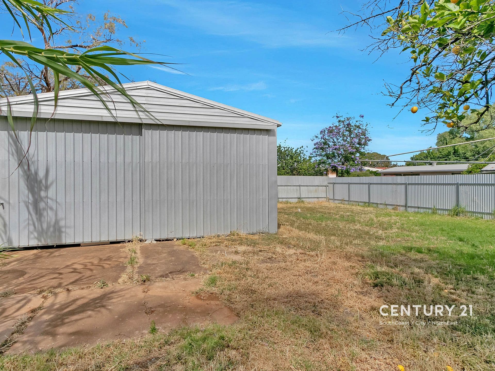 18 Gunther Street, Elizabeth Grove, SA, 5112, Elizabeth Grove - Thumbnail 3