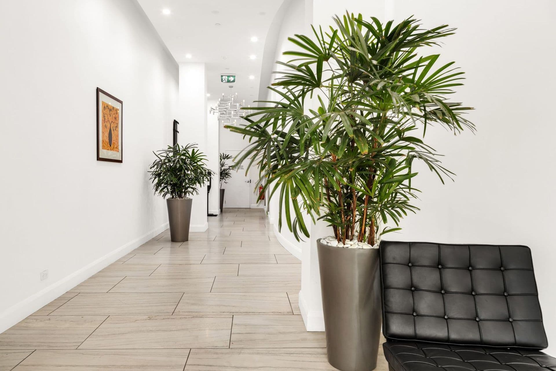 103/267 Hutt Street, Adelaide, SA, 5000, Adelaide - Thumbnail 3