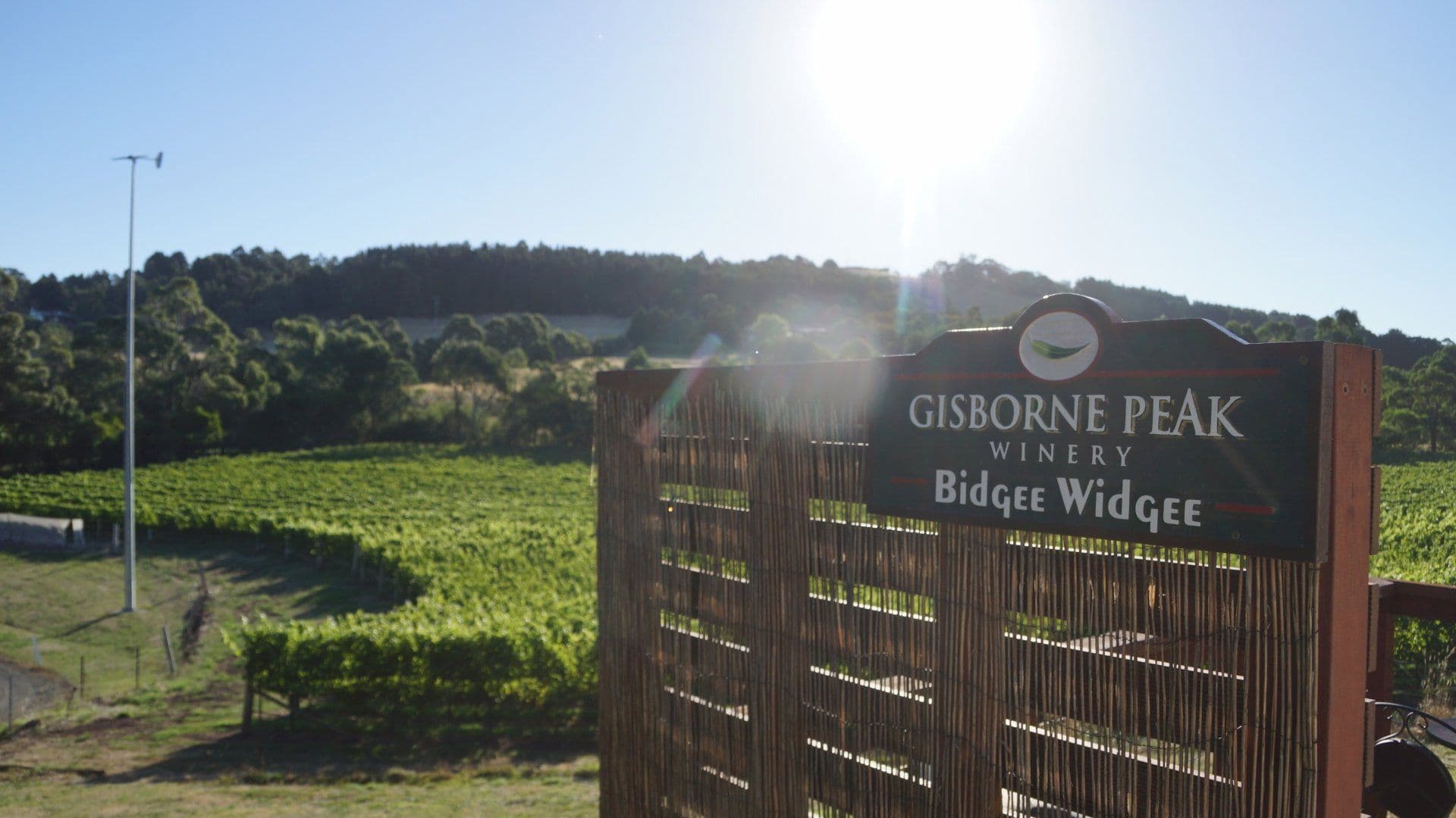Suite 4 241-244 Caroline Springs Blvd, Caroline Springs, VIC, 3023, Gisborne - Image 1