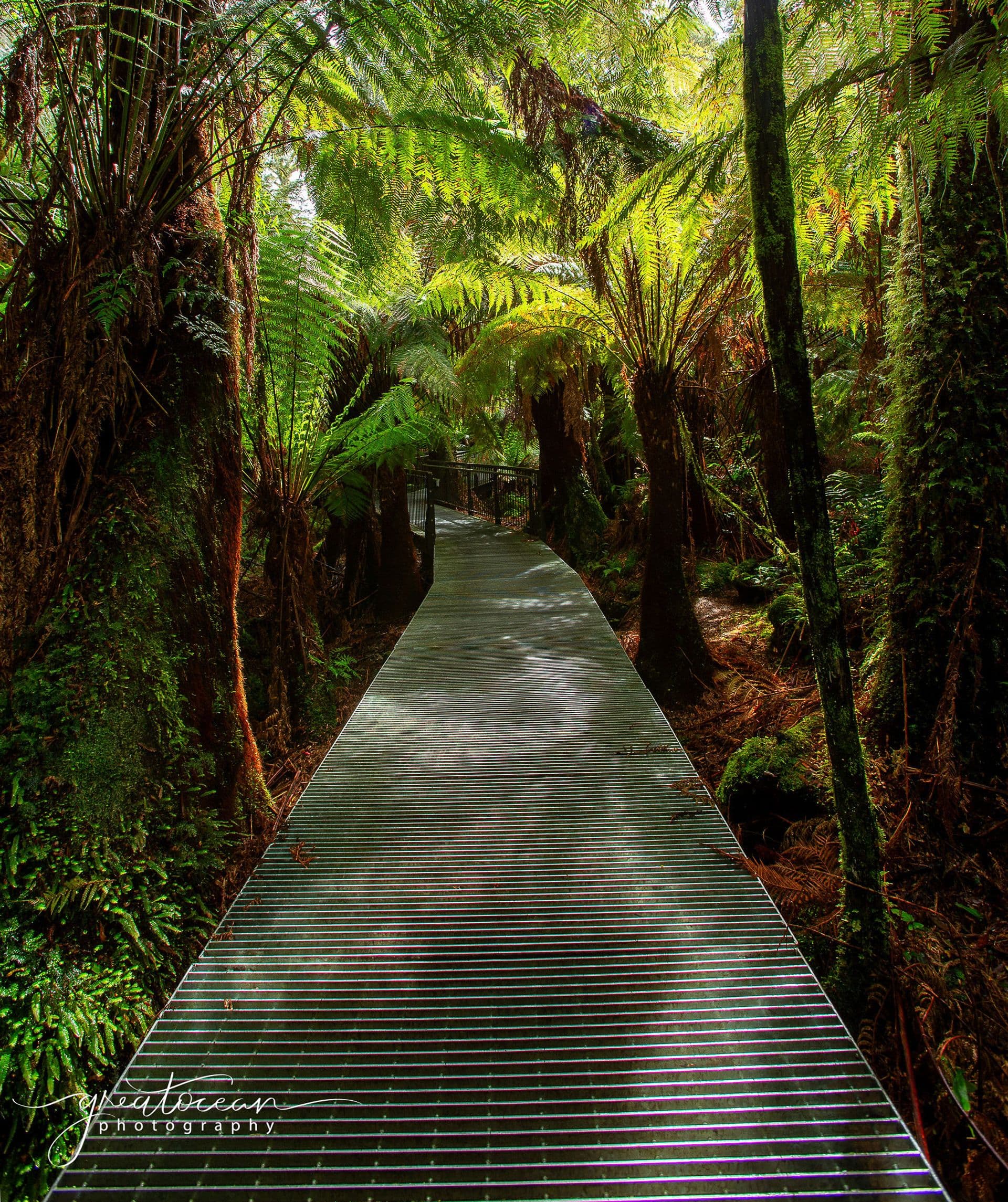 Suite 4 241-244 Caroline Springs Blvd, Caroline Springs, VIC, 3023, Apollo Bay - Thumbnail 8
