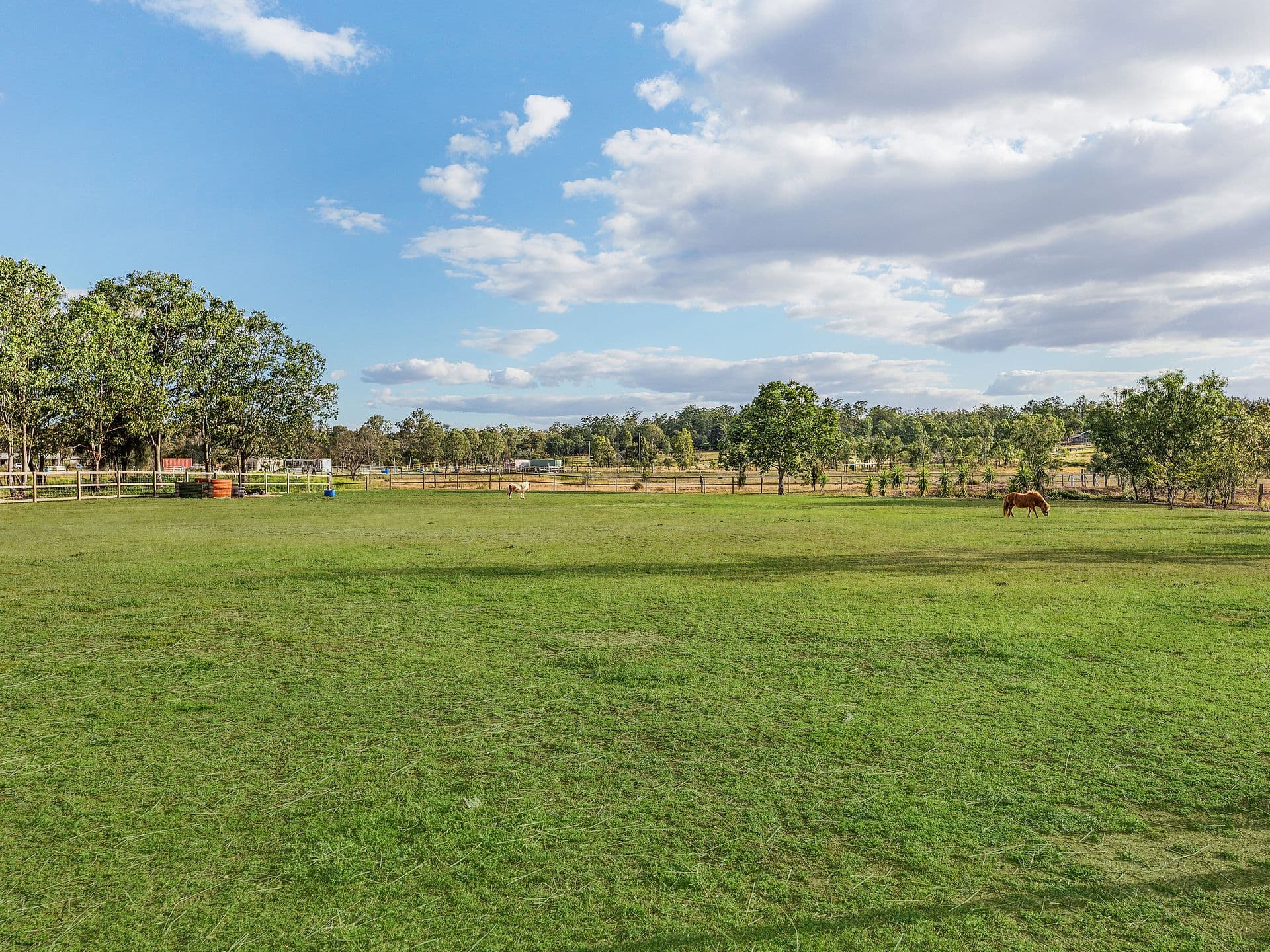 34 Hewett Drive, Regency Downs, QLD, 4341, Regency Downs - Thumbnail 6