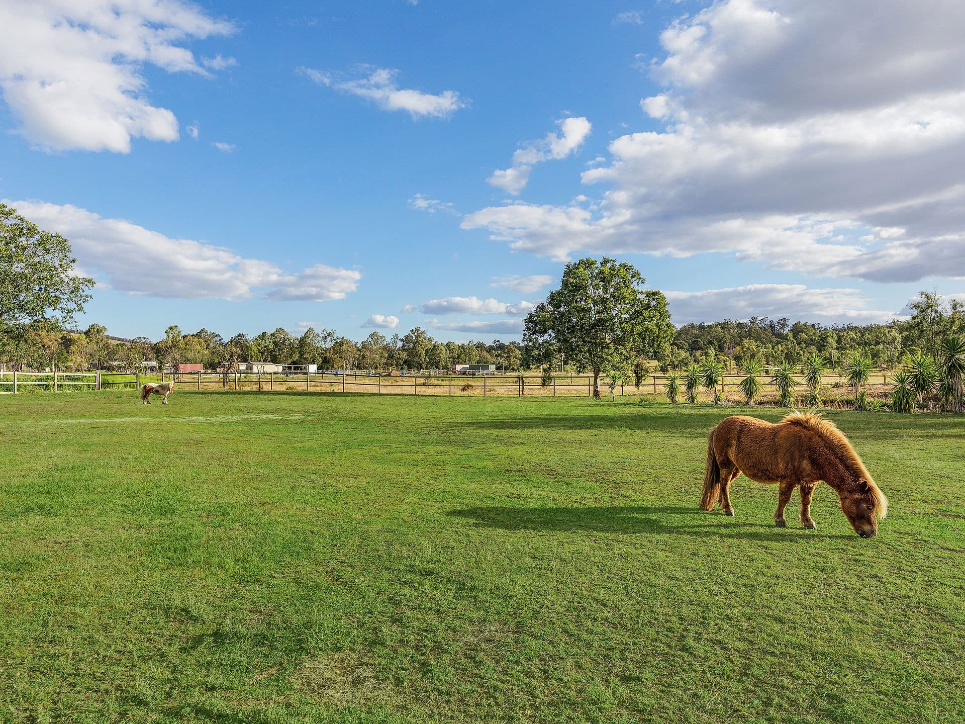 34 Hewett Drive, Regency Downs, QLD, 4341, Regency Downs - Thumbnail 7