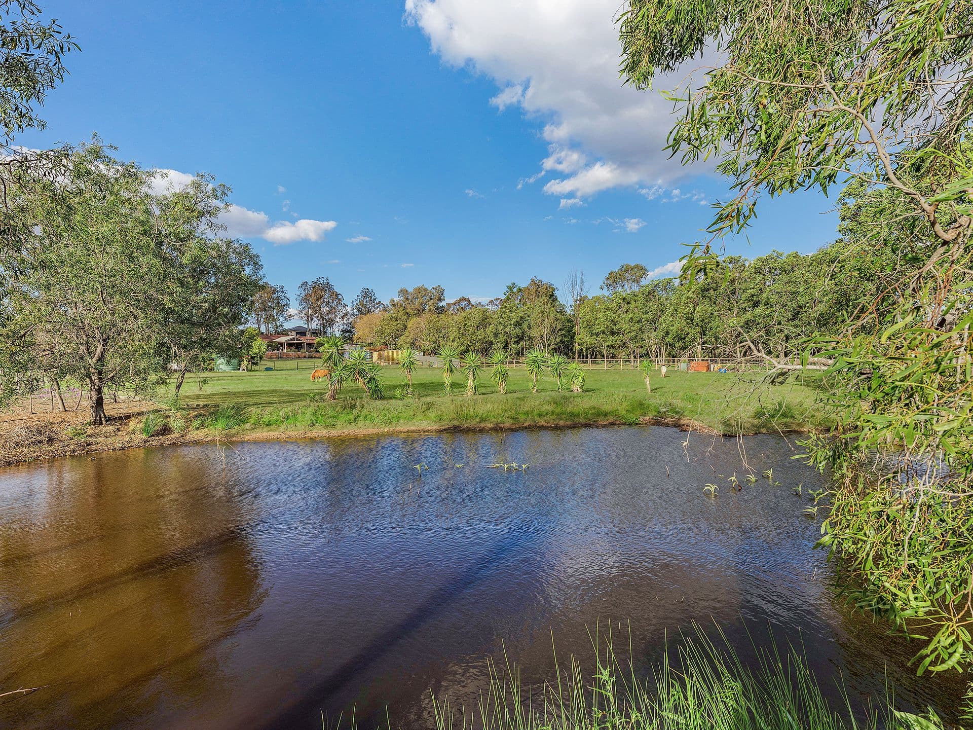 34 Hewett Drive, Regency Downs, QLD, 4341, Regency Downs - Thumbnail 8