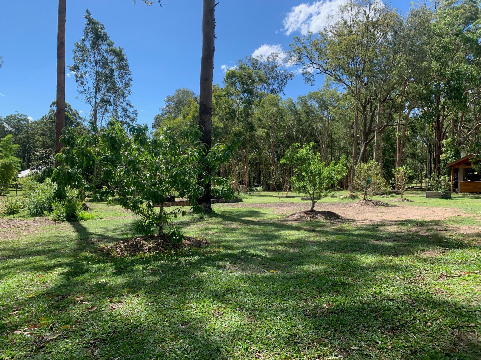 65-71 Camphor Drive, Boyland, QLD, 4275, Boyland - Thumbnail 4