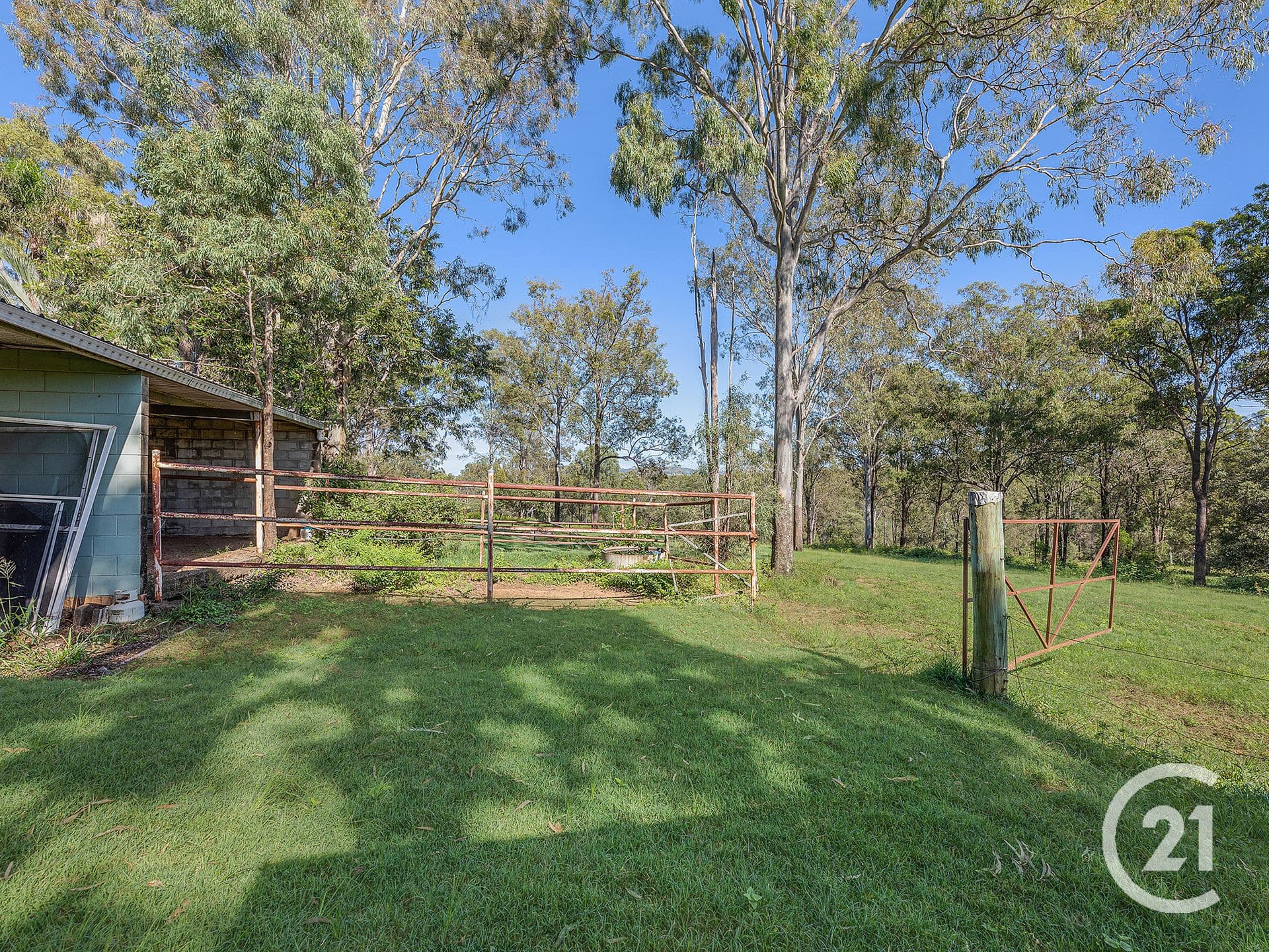 3 Badower Road, Karrabin, QLD, 4306, Karrabin - Thumbnail 4