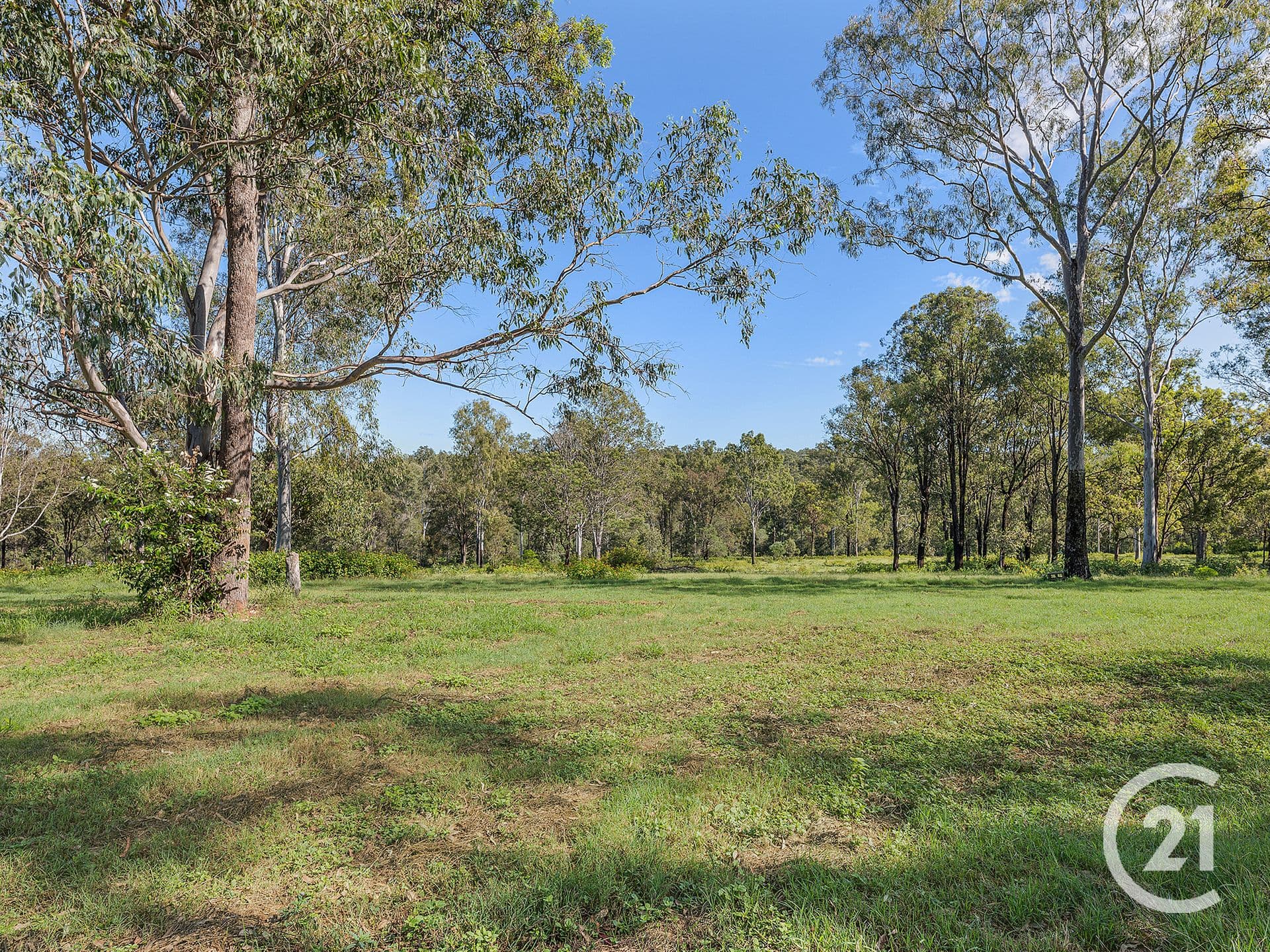 3 Badower Road, Karrabin, QLD, 4306, Karrabin - Thumbnail 5