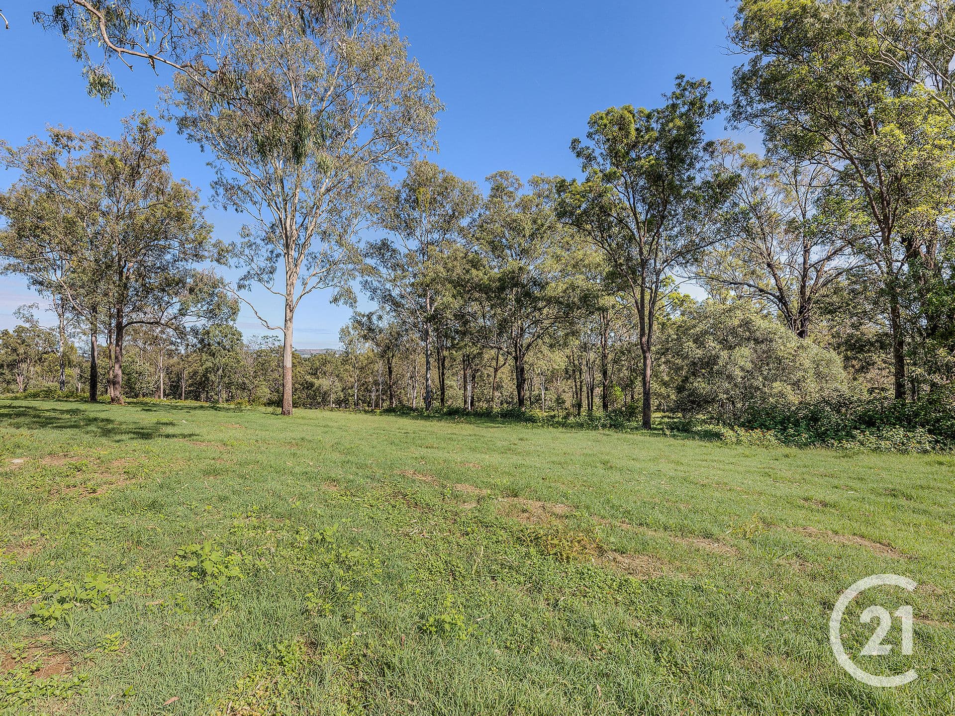 3 Badower Road, Karrabin, QLD, 4306, Karrabin - Thumbnail 6