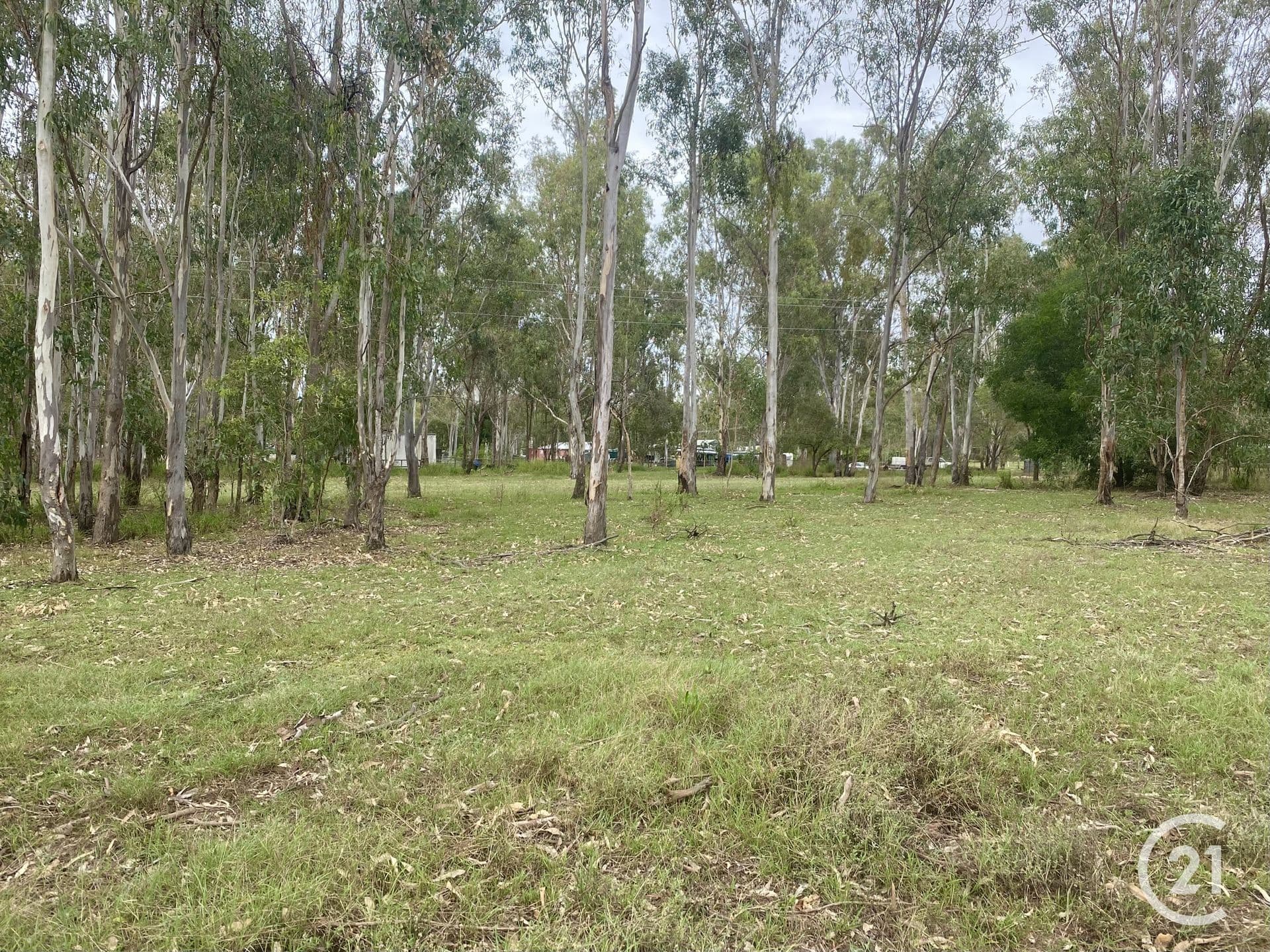 1 Cedar Court, Brightview, QLD, 4311, Brightview - Thumbnail 4