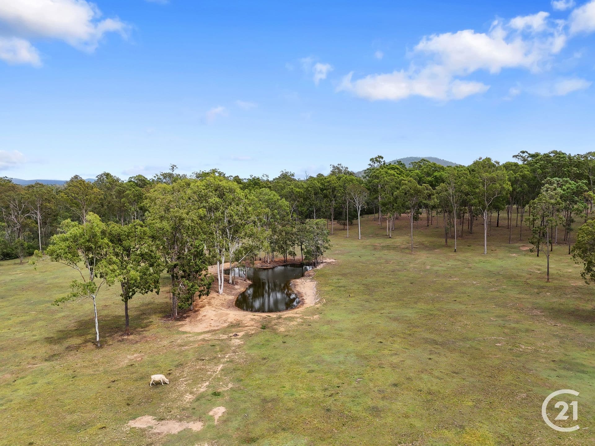 38 Limestone St, Ipswich, QLD, 4305, Coominya - Thumbnail 4