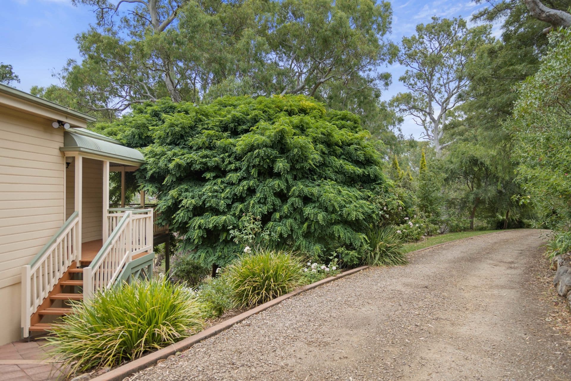 118 Homestead Drive, Aberfoyle Park, SA, 5159, Aberfoyle Park - Thumbnail 6
