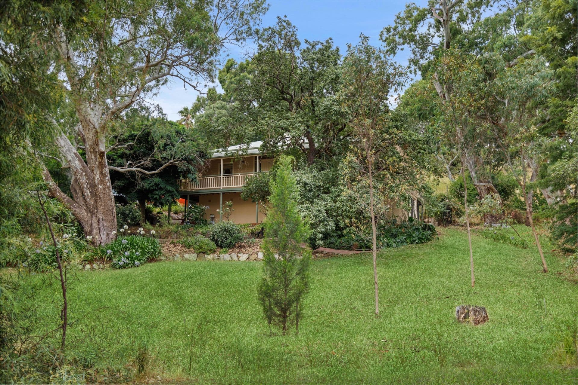 118 Homestead Drive, Aberfoyle Park, SA, 5159, Aberfoyle Park - Thumbnail 2