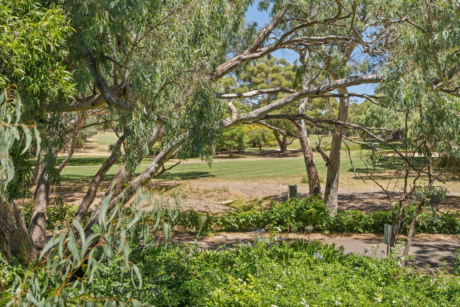 2 Miller Drive, Happy Valley, SA, 5159, Happy Valley - Thumbnail 5