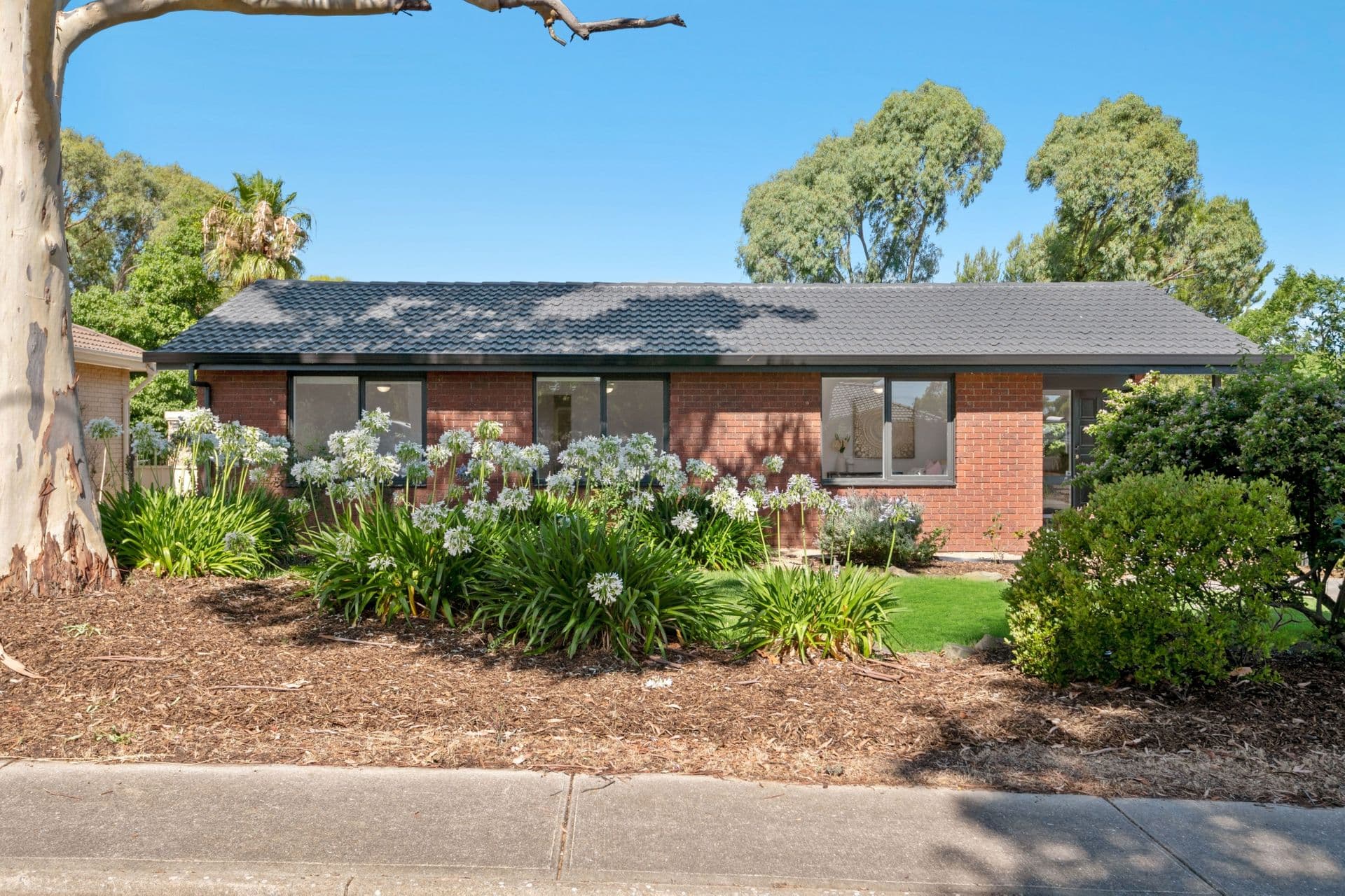 7 Counihan Court, Trott Park, SA, 5158, Trott Park - Thumbnail 4