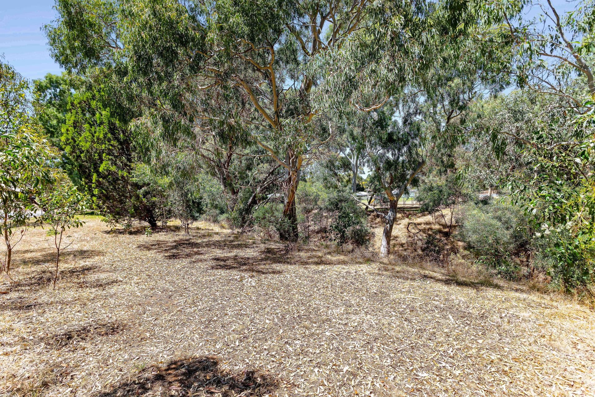 5 Lexcen Grove, Happy Valley, SA, 5159, Happy Valley - Thumbnail 3