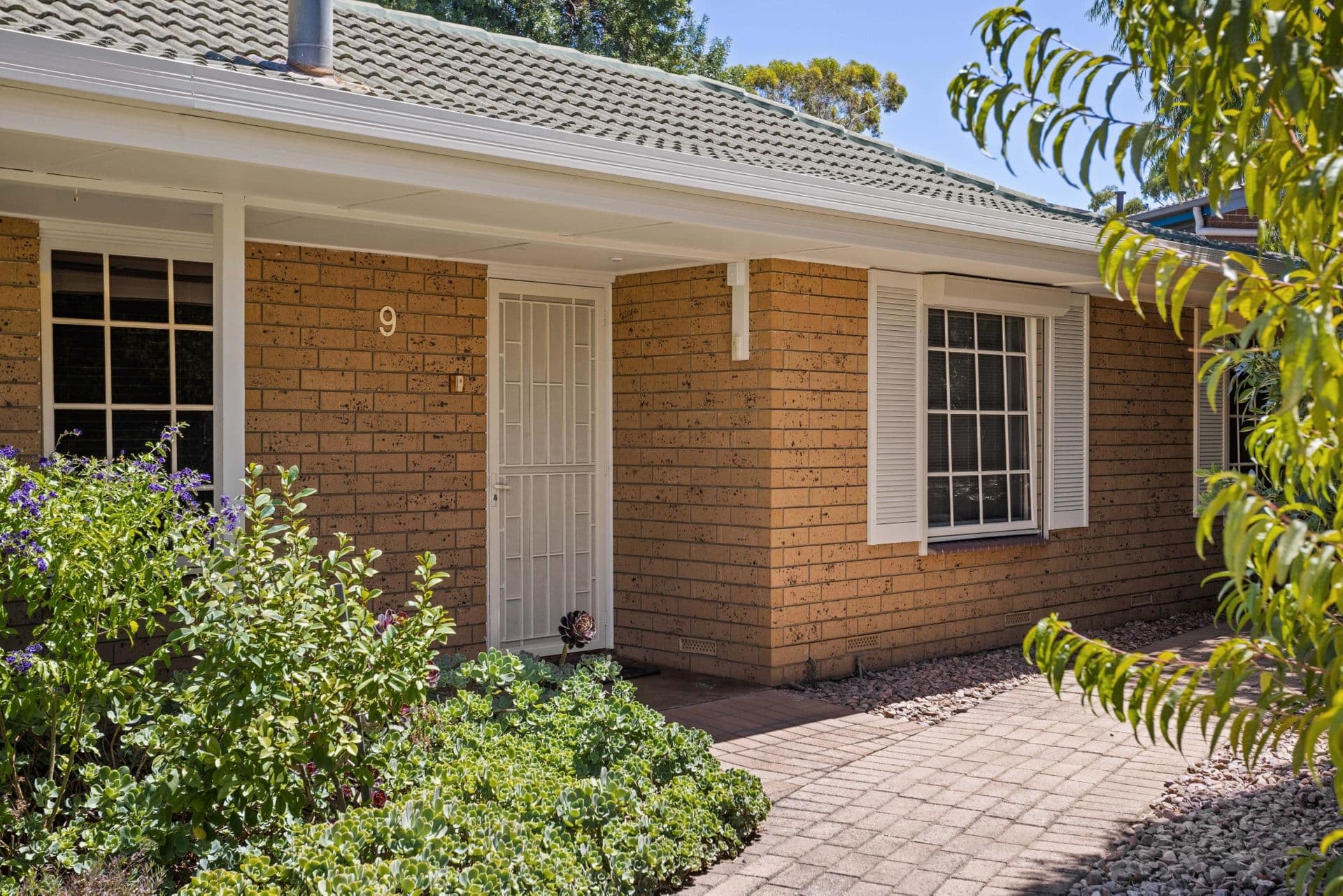 9 Molvig Court, Trott Park, SA, 5158, Trott Park - Thumbnail 2