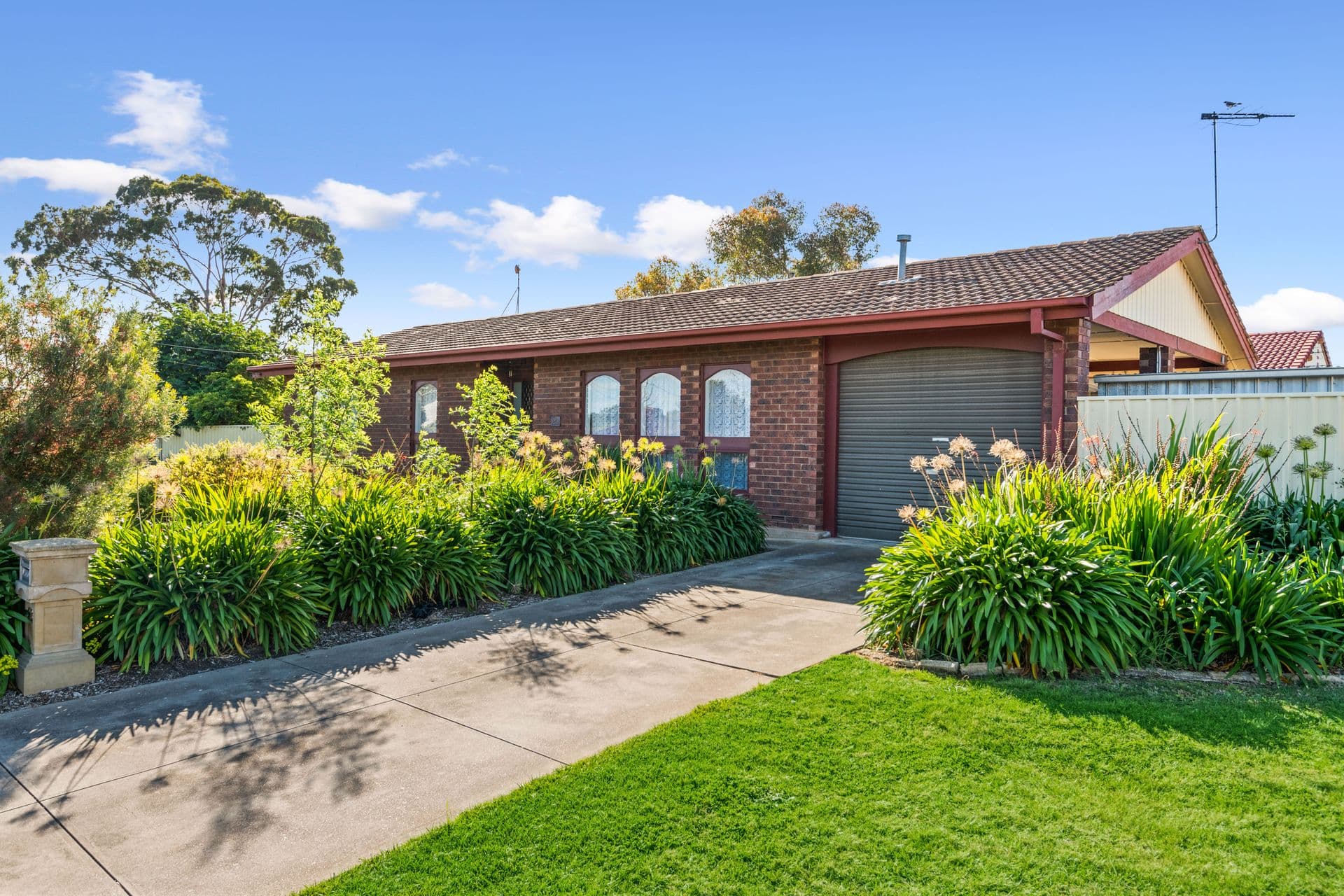 23 Causby Avenue, Morphett Vale, SA, 5162, Morphett Vale - Thumbnail 2
