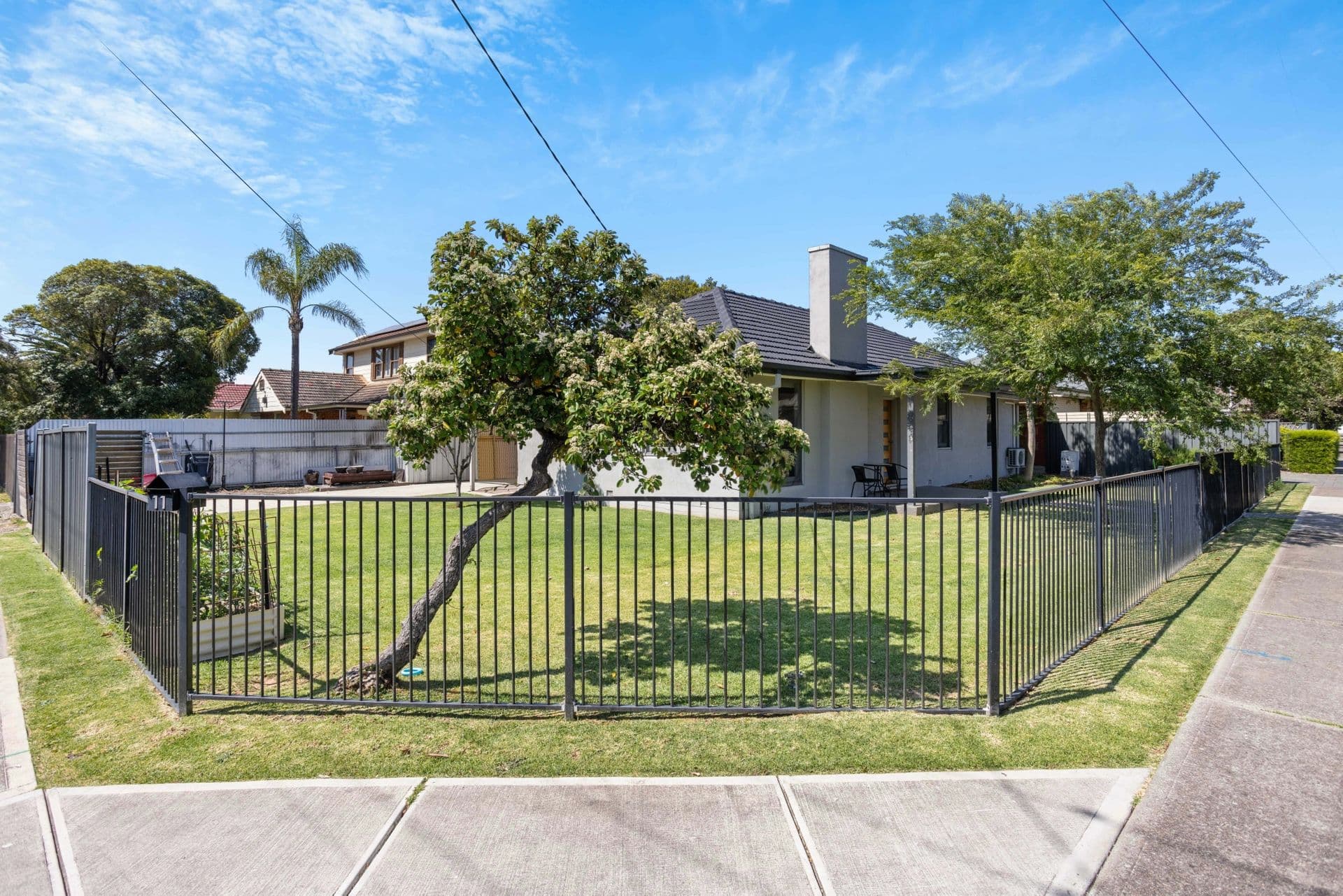 11 Finchley Street, Clovelly Park, SA, 5042, Clovelly Park - Thumbnail 2