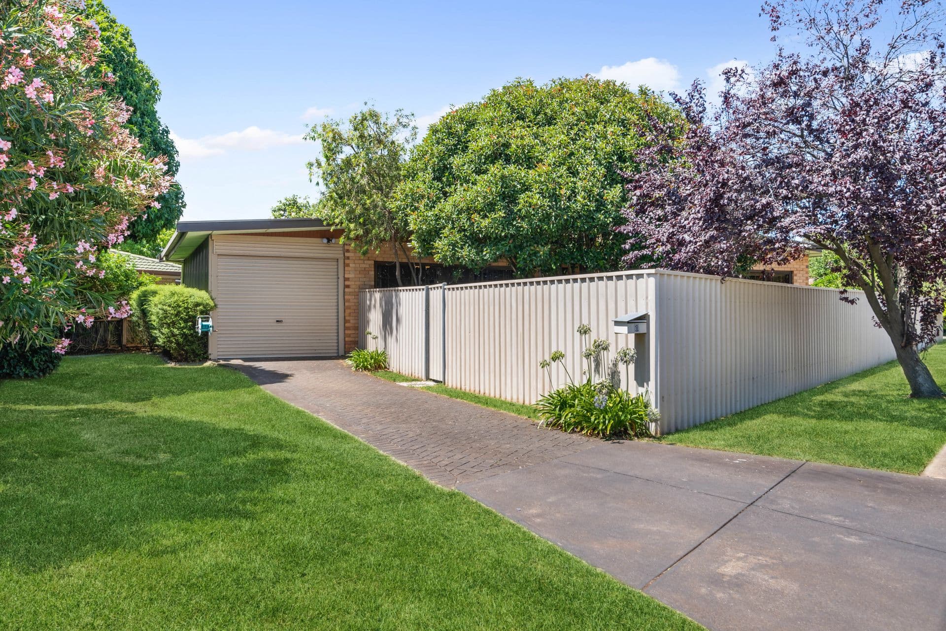 1 Carmela Avenue, Morphett Vale, SA, 5162, Morphett Vale - Thumbnail 2