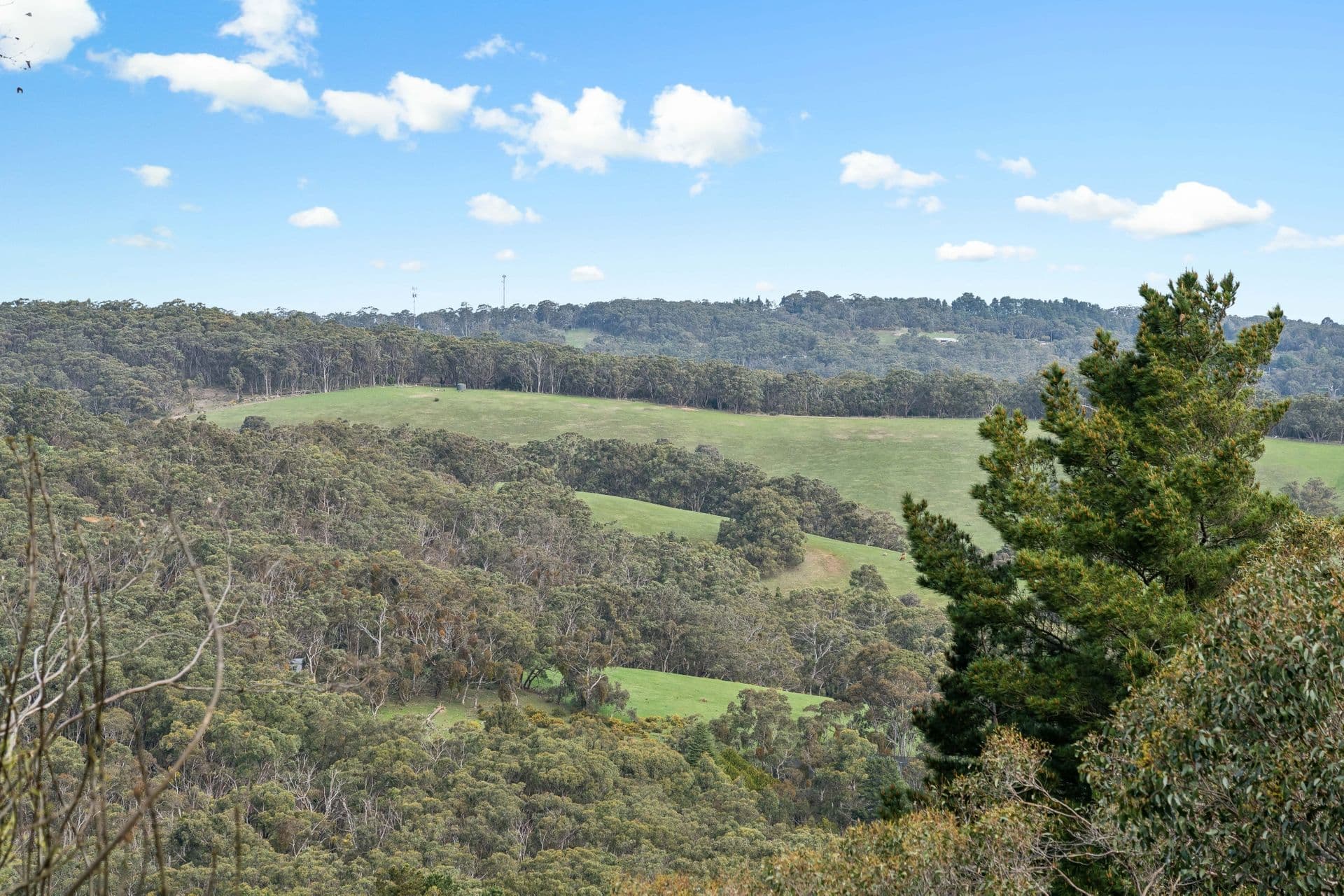 35 Highwood Grove, Upper Sturt, SA, 5156, Upper Sturt - Thumbnail 4